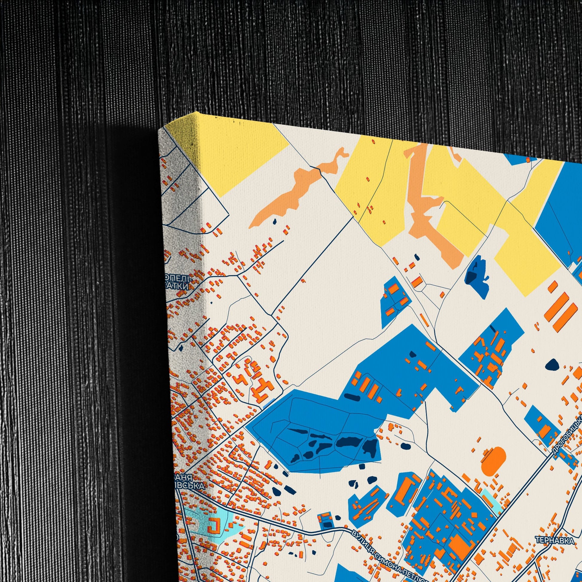 Борислав Ukraine Colorful City Map Canvas Print Detail