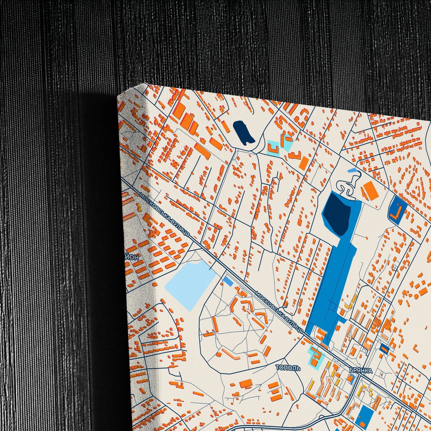 Брянка Ukraine Colorful City Map Canvas Print Detail