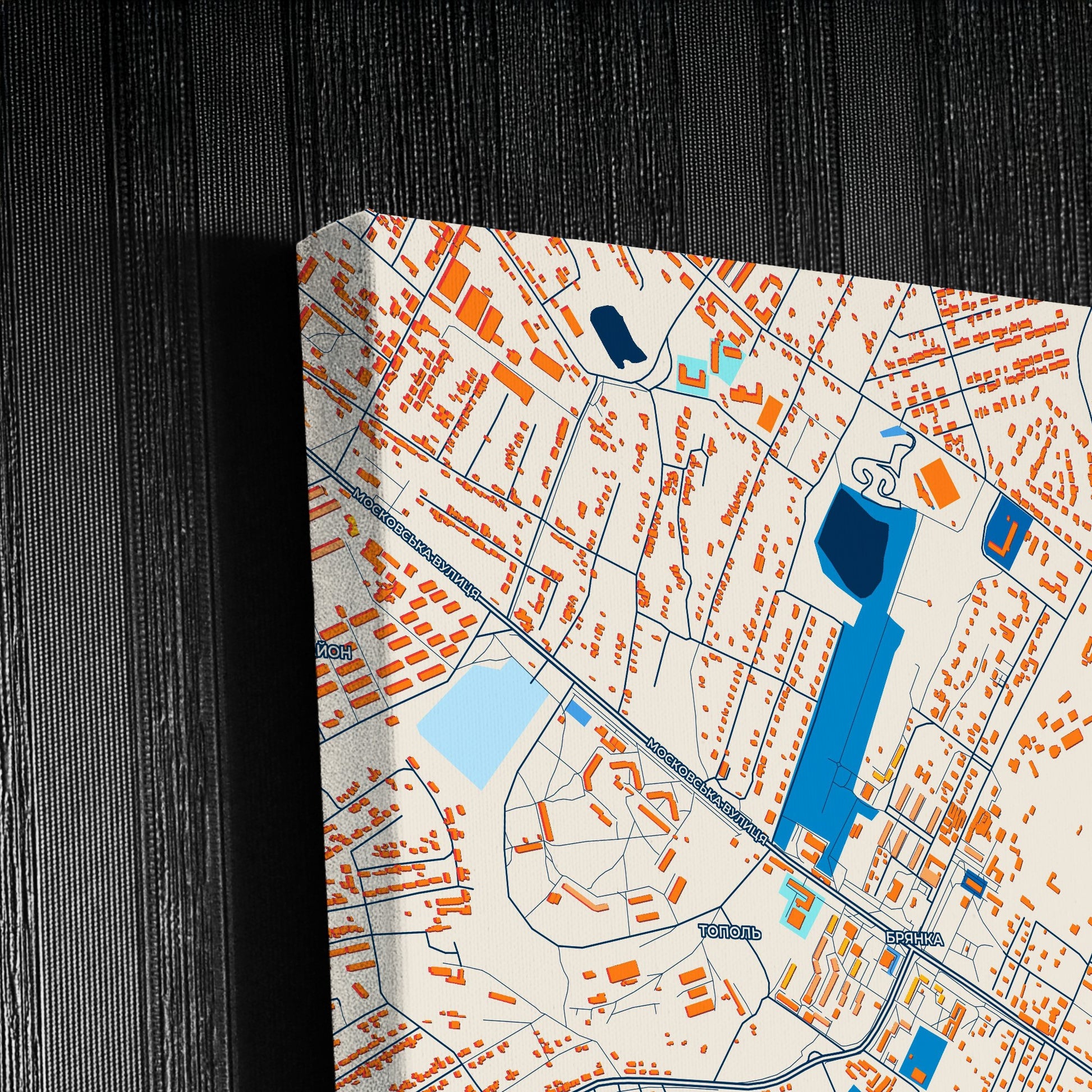 Брянка Ukraine Colorful City Map Canvas Print Detail