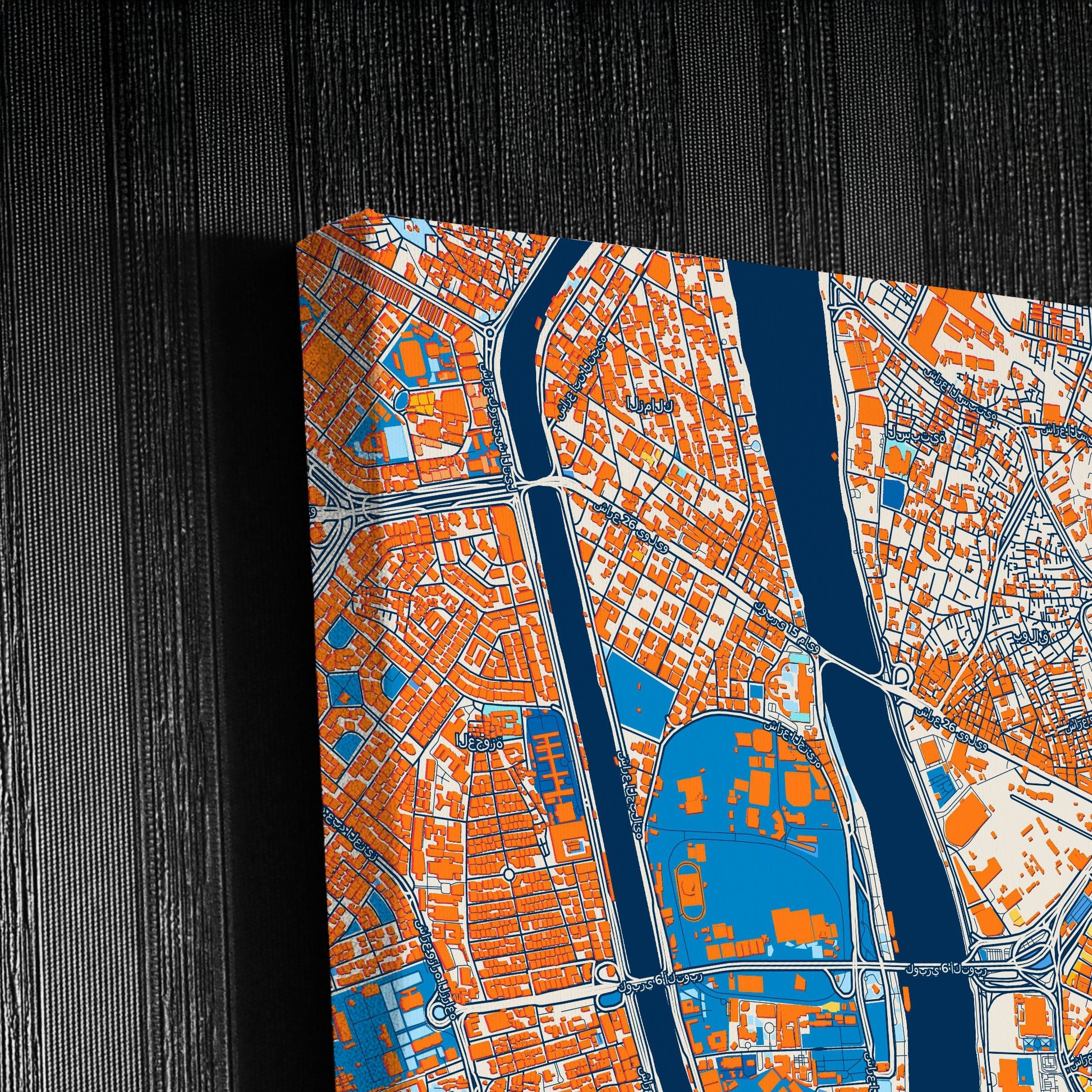 Cairo Egypt Colorful City Map Canvas Print Detail