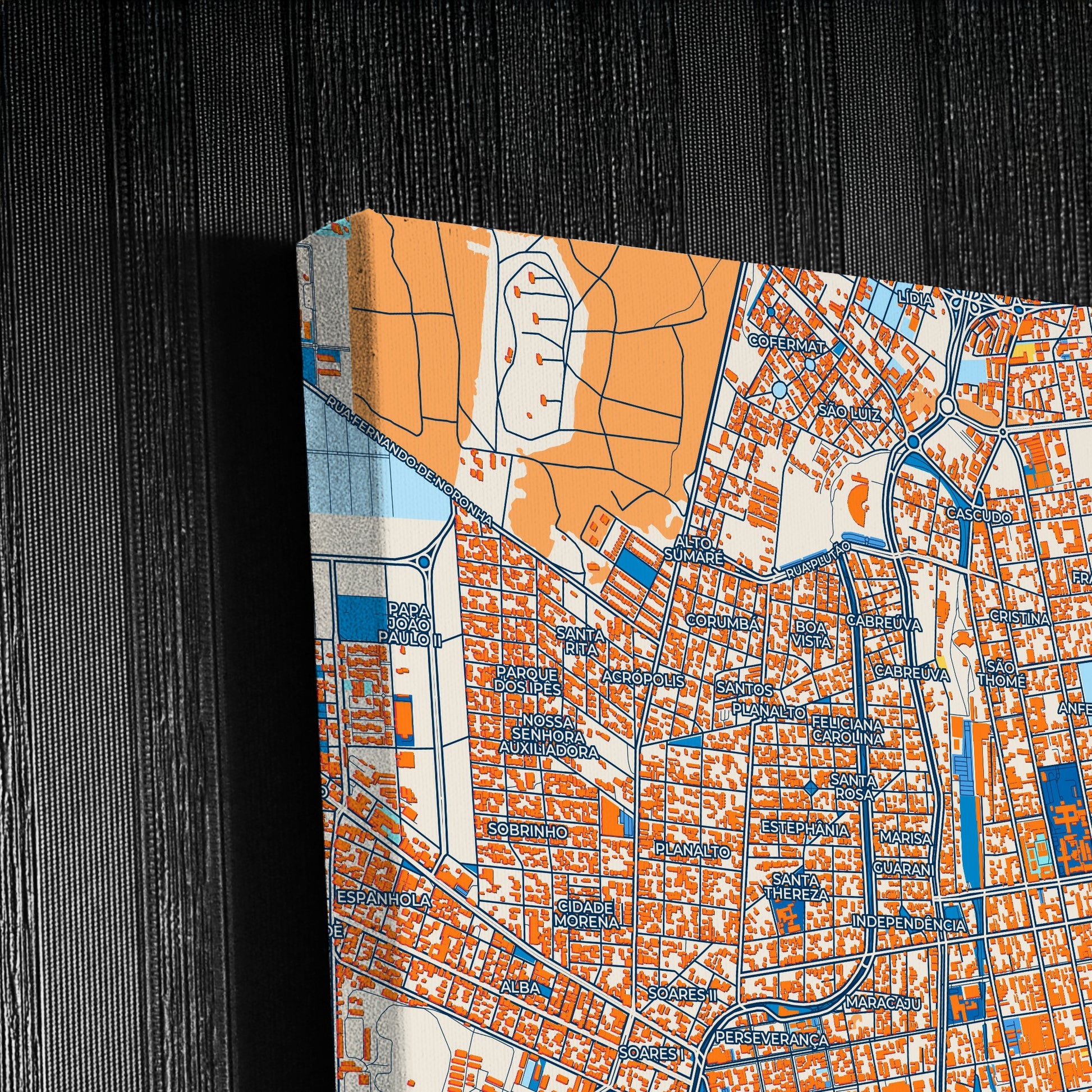 Campo Grande Brazil Colorful City Map Canvas Print Detail