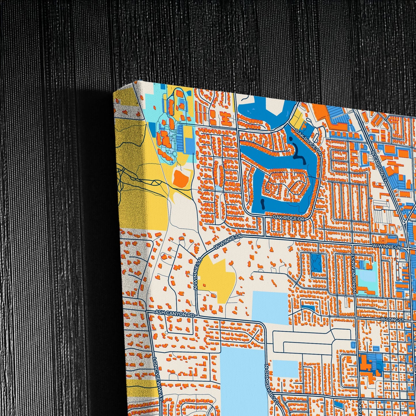 Carson City Nevada Colorful City Map Canvas Print Detail