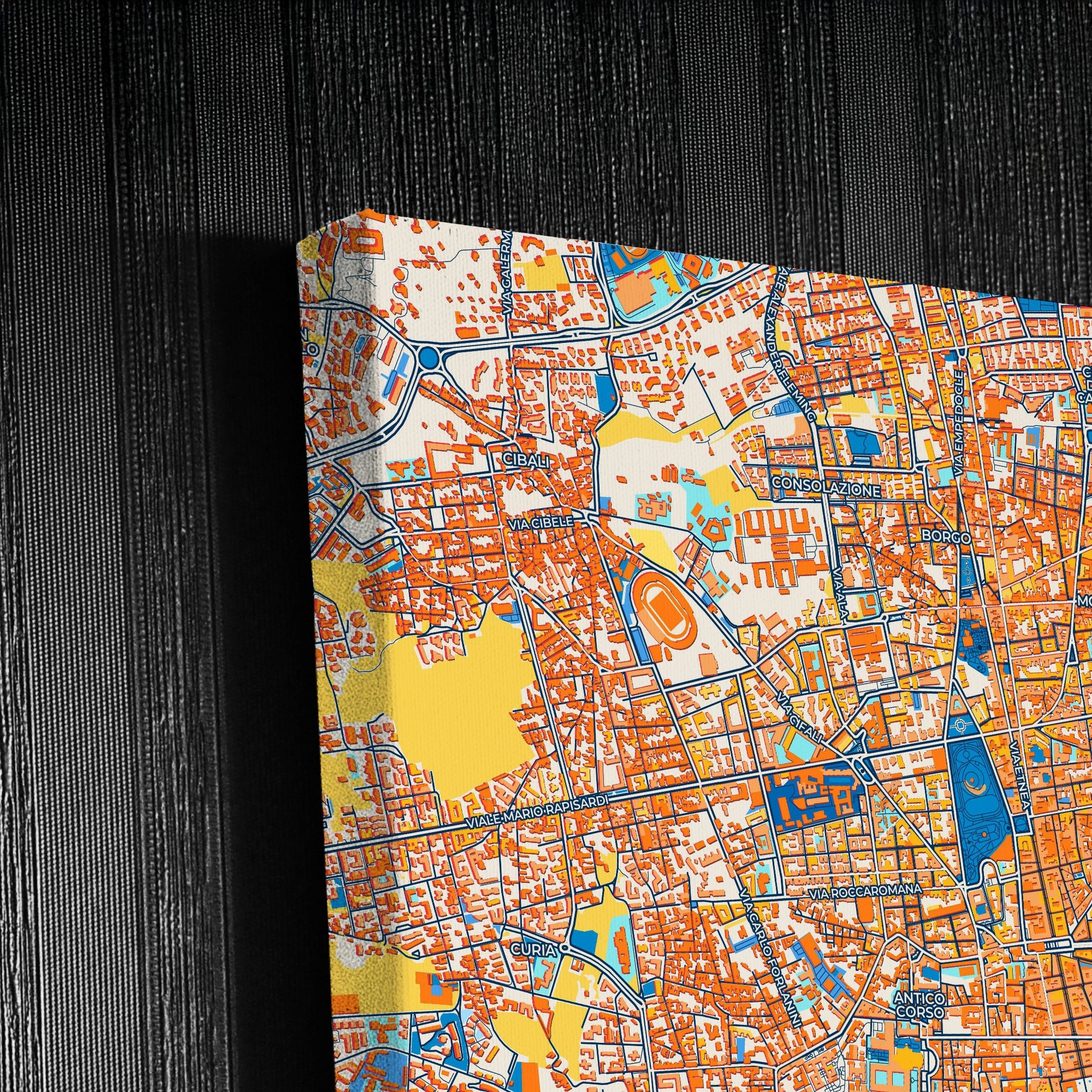 Catania  Italy Colorful City Map Canvas Print Detail