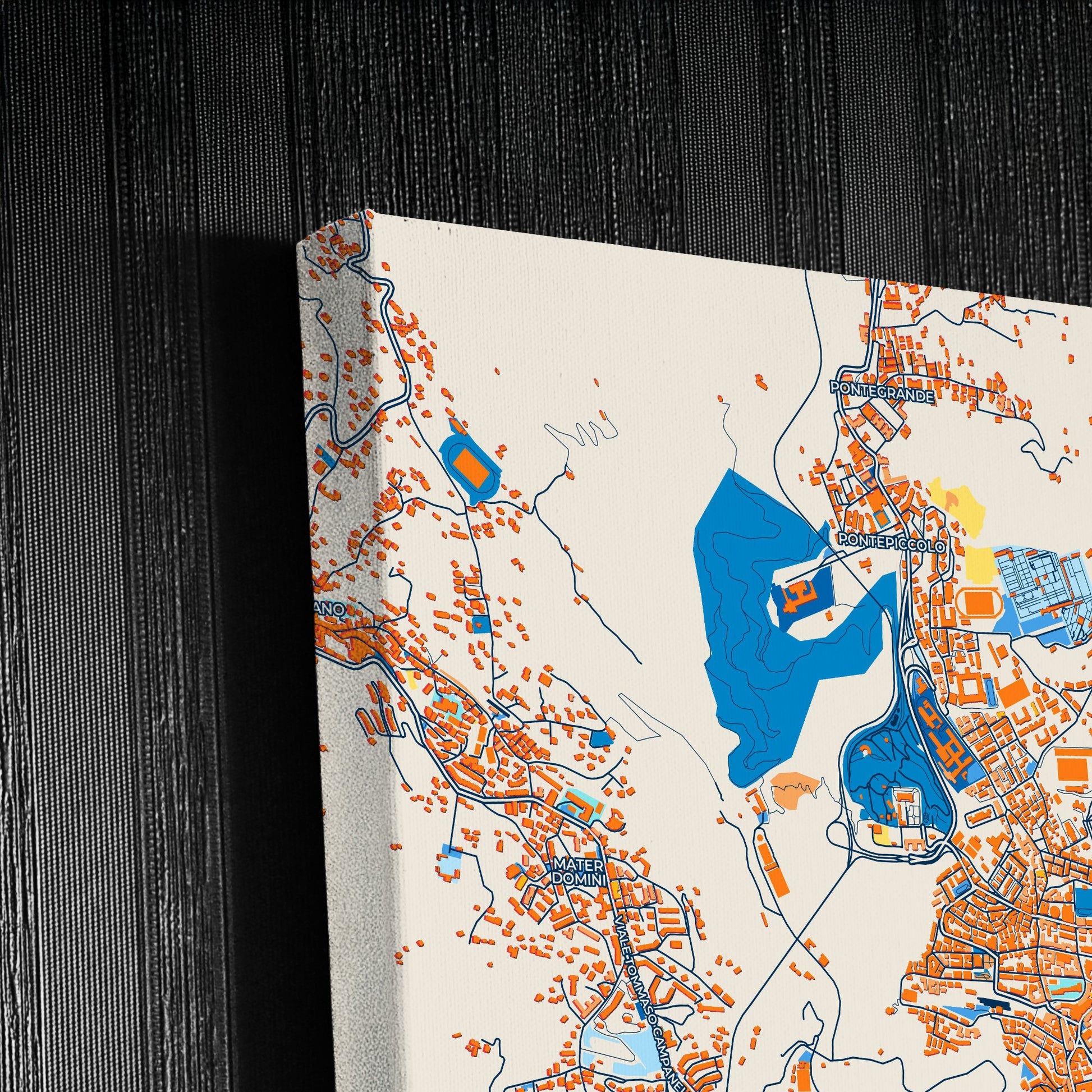 Catanzaro Italy Colorful City Map Canvas Print Detail
