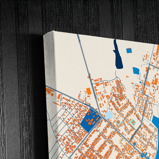 Ceadâr-Lunga Moldova Colorful City Map Canvas Print Detail
