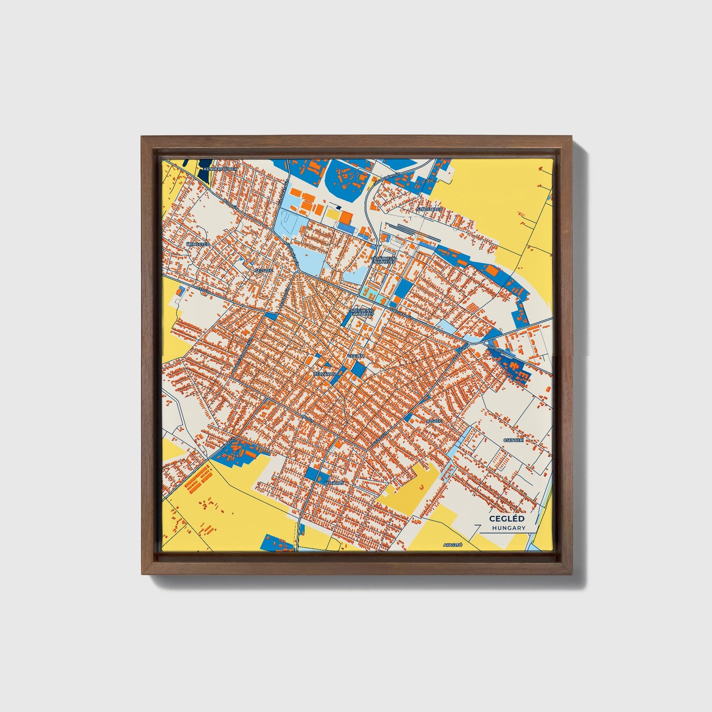 Cegléd Hungary Colorful City Map Canvas Print • Dark Wooden Framed