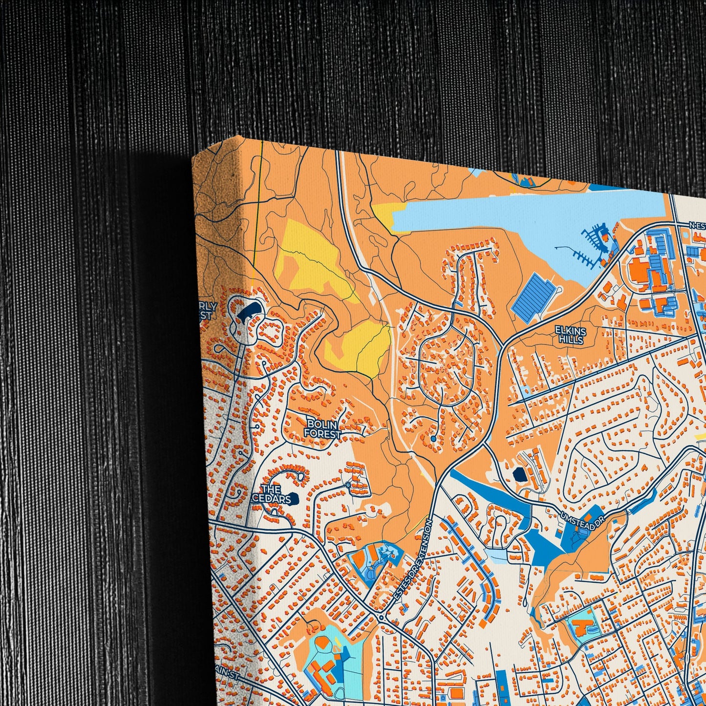 Chapel Hill North Carolina Colorful City Map Canvas Print Detail