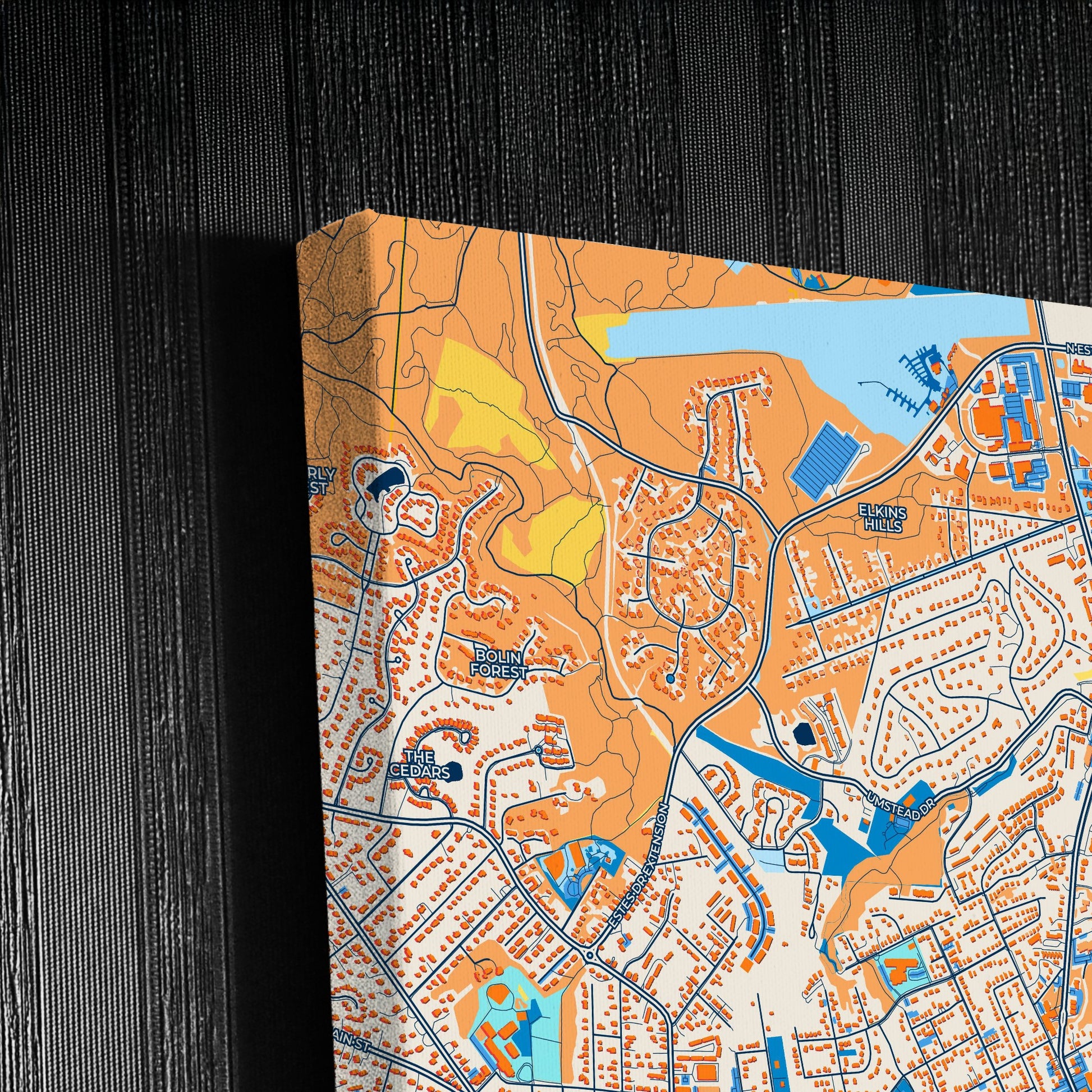 Chapel Hill North Carolina Colorful City Map Canvas Print Detail