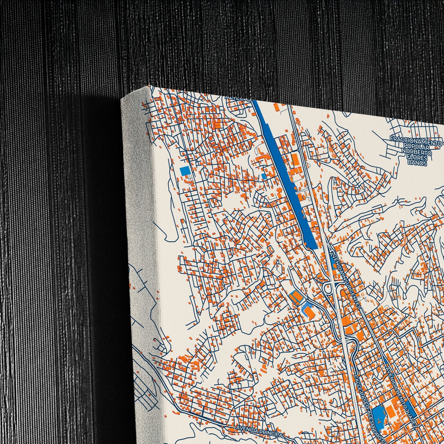 Chilpancingo Mexico Colorful City Map Canvas Print Detail