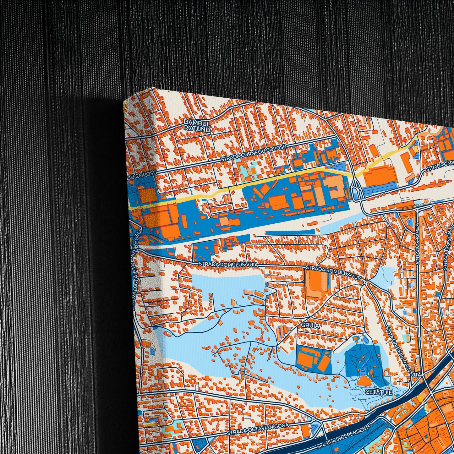 Cluj-Napoca Romania Colorful City Map Canvas Print Detail