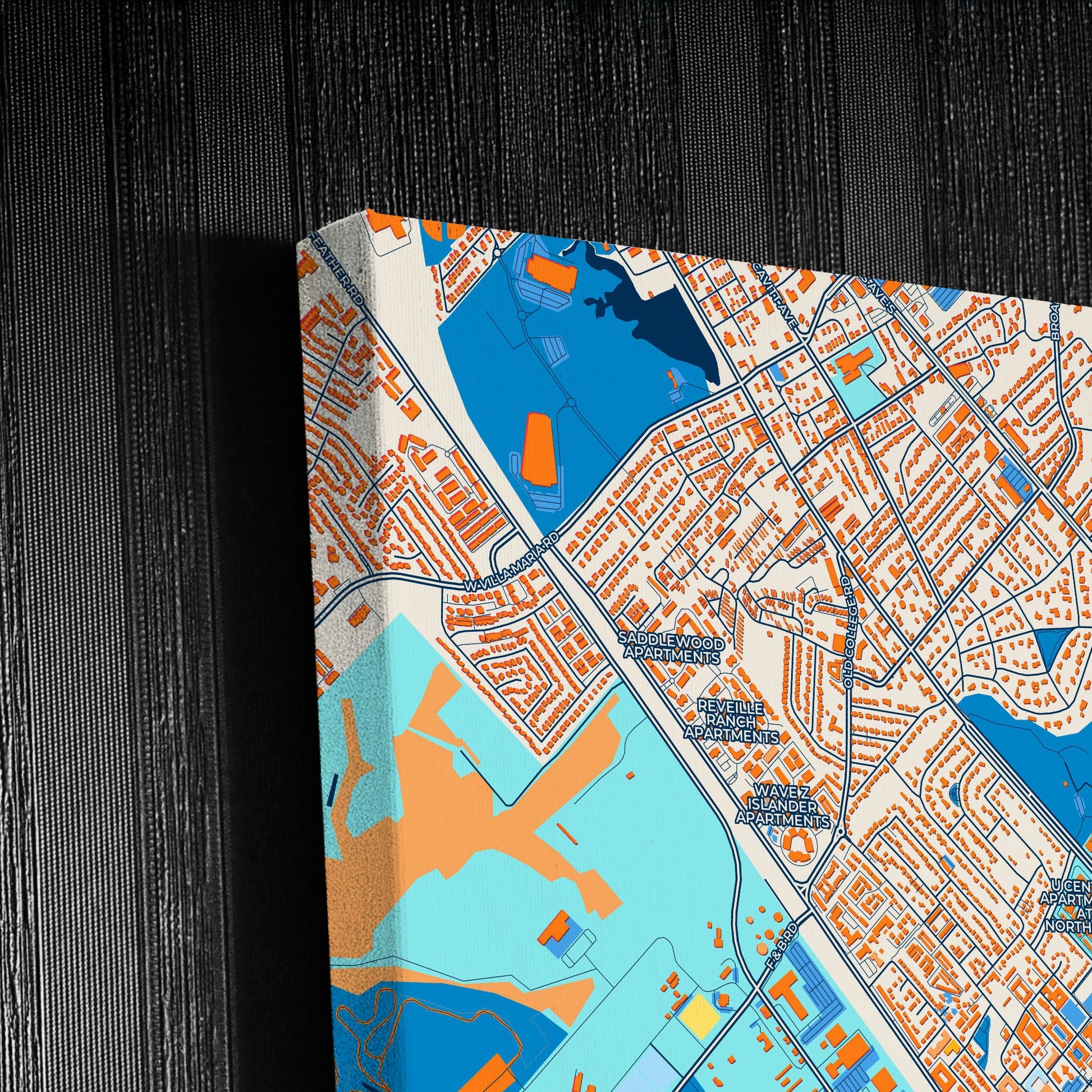College Station Texas Colorful City Map Canvas Print Detail