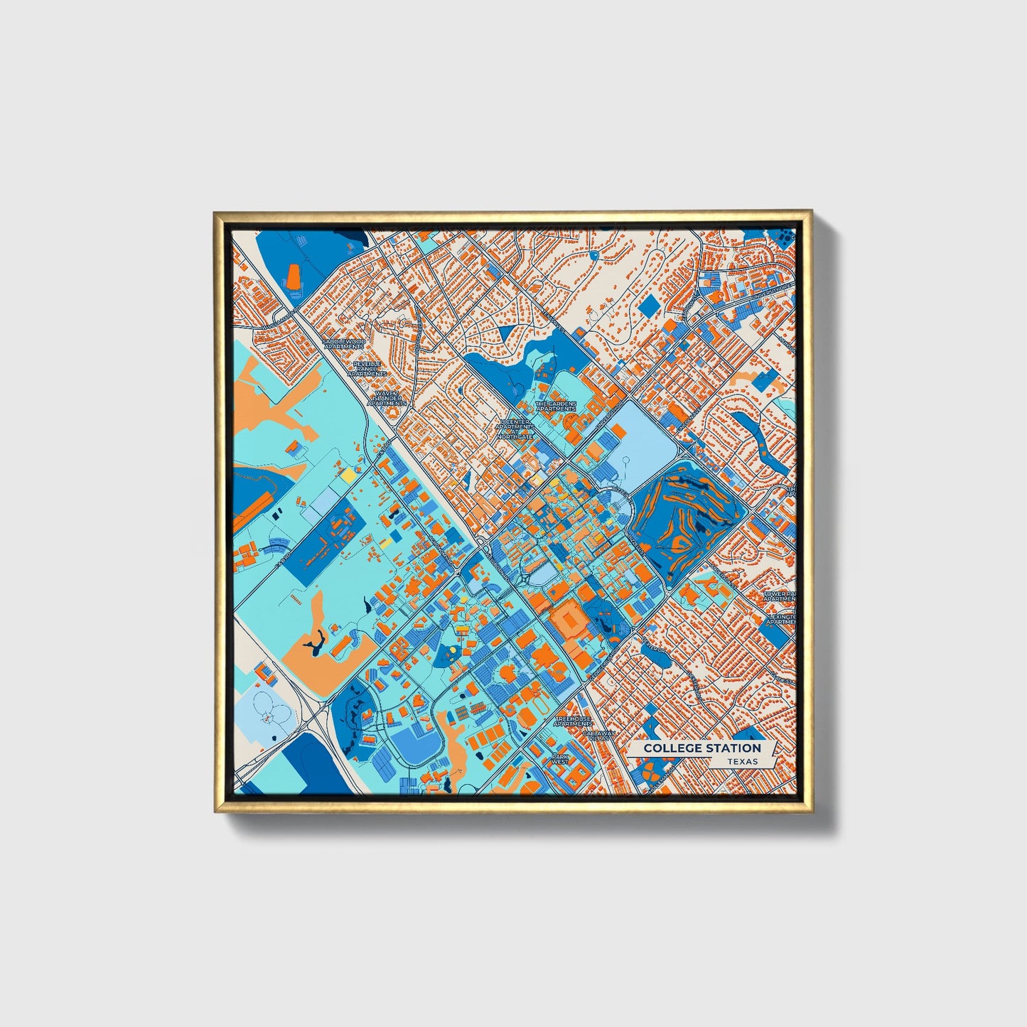 College Station Texas Colorful City Map Canvas Print • Gold Framed
