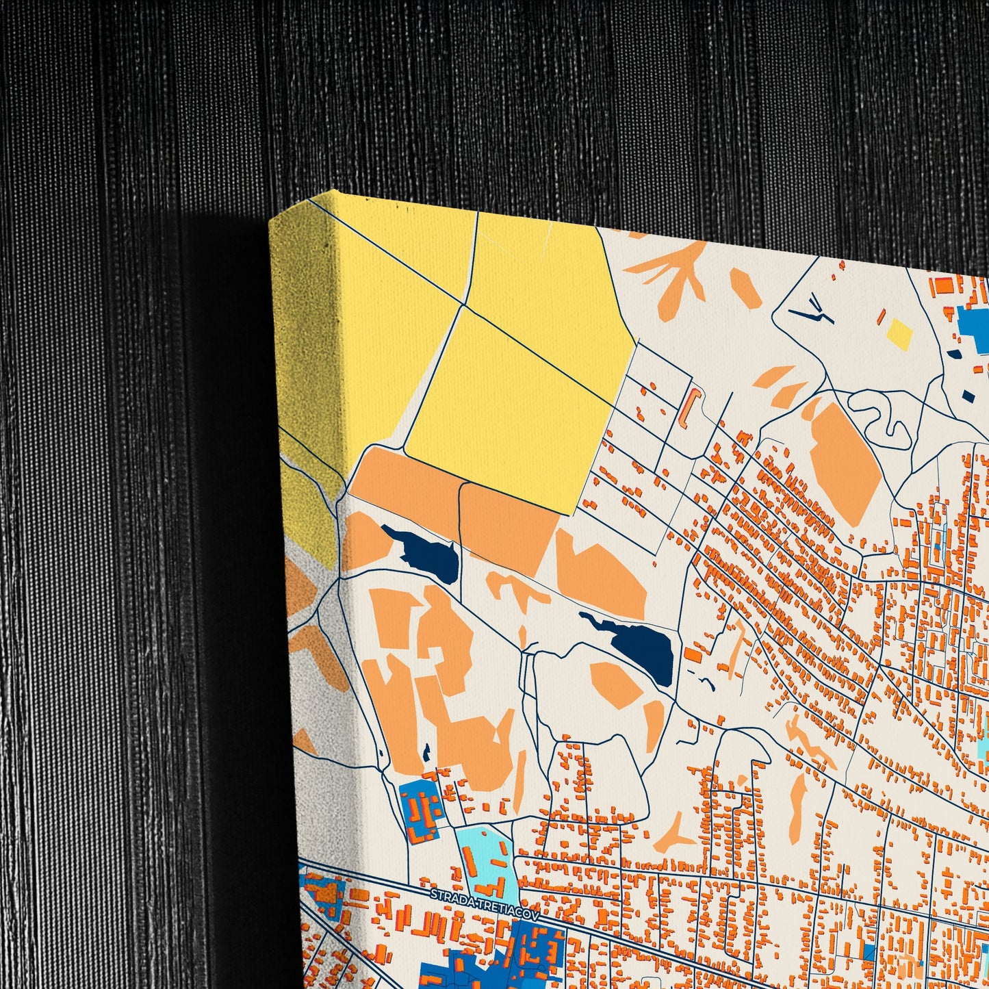 Comrat Moldova Colorful City Map Canvas Print Detail