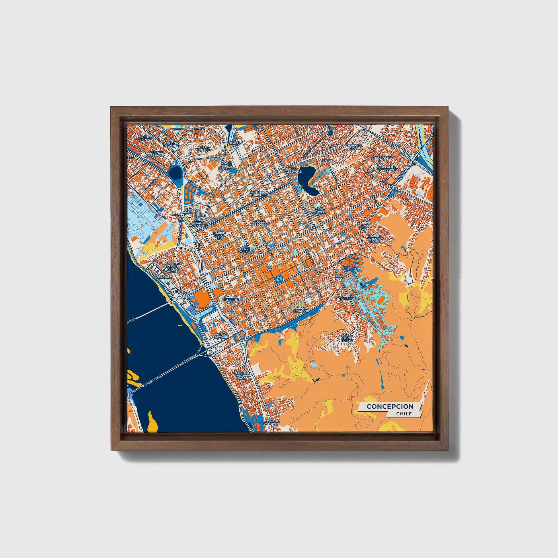 Concepcion Chile Colorful City Map Canvas Print • Dark Wooden Framed