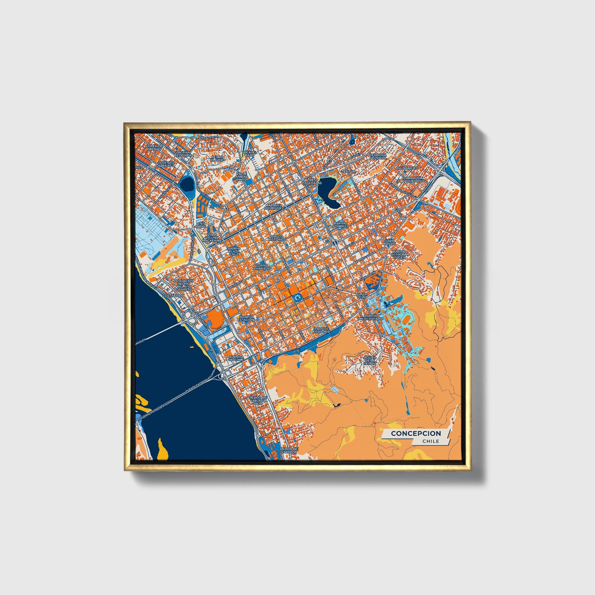 Concepcion Chile Colorful City Map Canvas Print • Gold Framed