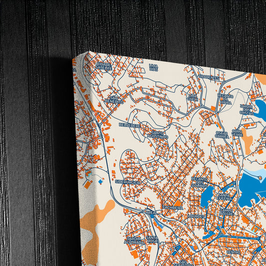 Conselheiro Lafaiete Brazil Colorful City Map Canvas Print Detail
