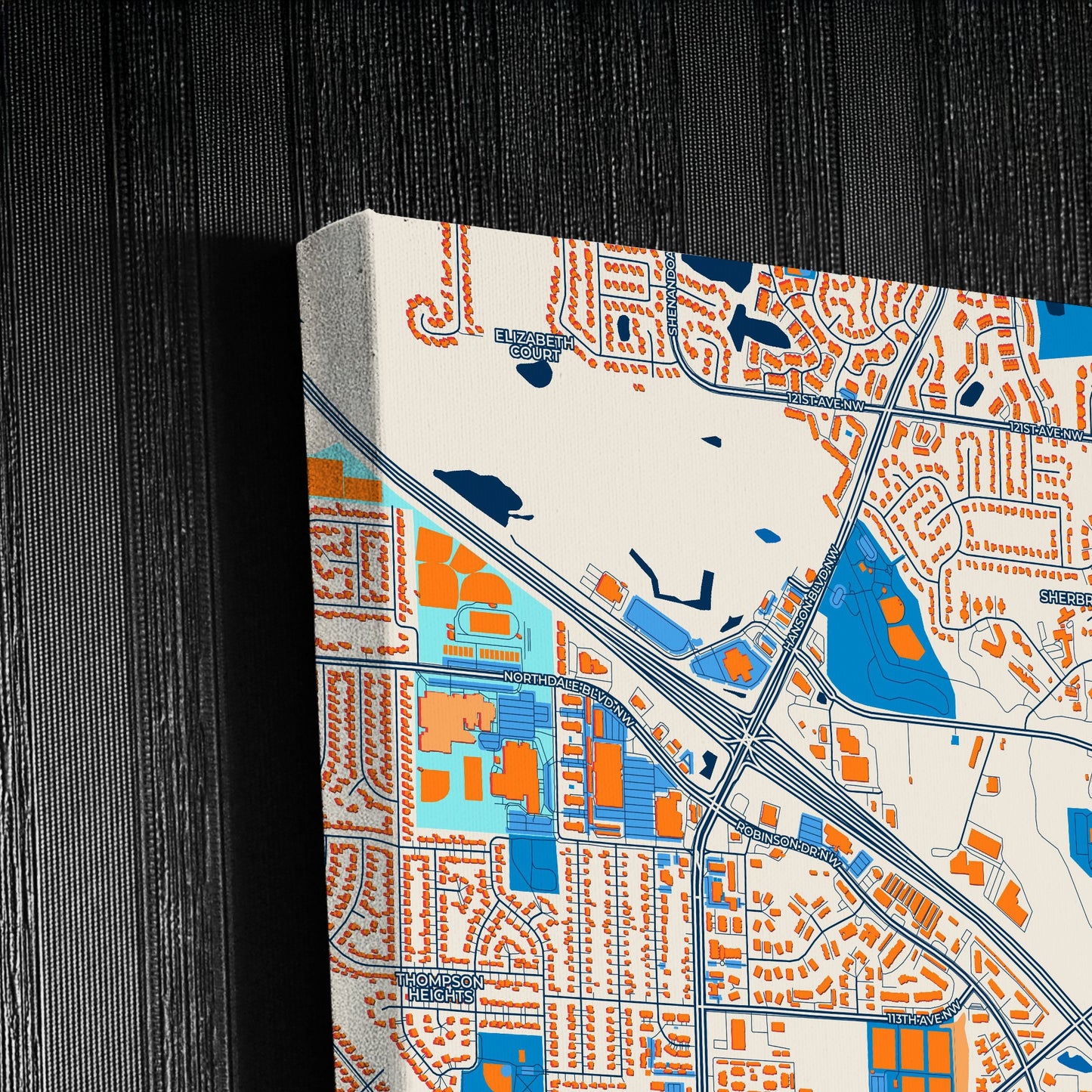 Coon Rapids Minnesota Colorful City Map Canvas Print Detail