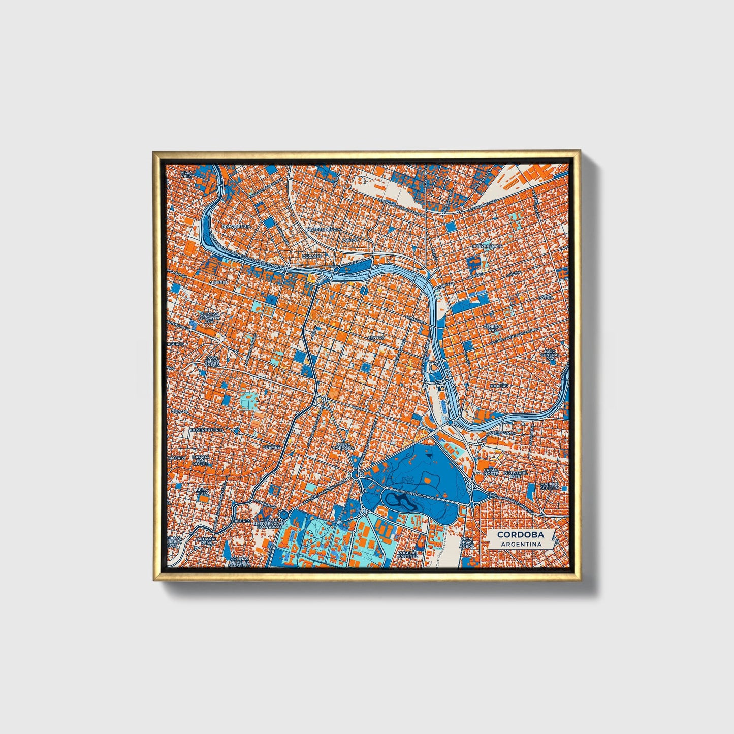 Cordoba Argentina Colorful City Map Canvas Print • Gold Framed