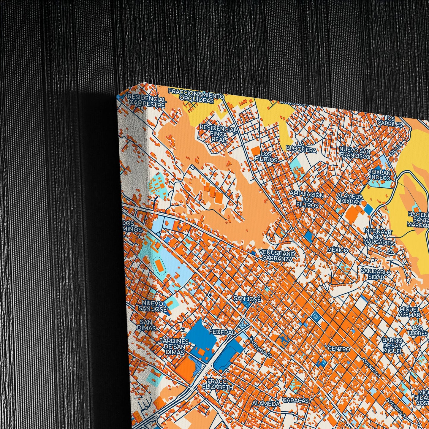 Córdoba Mexico Colorful City Map Canvas Print Detail