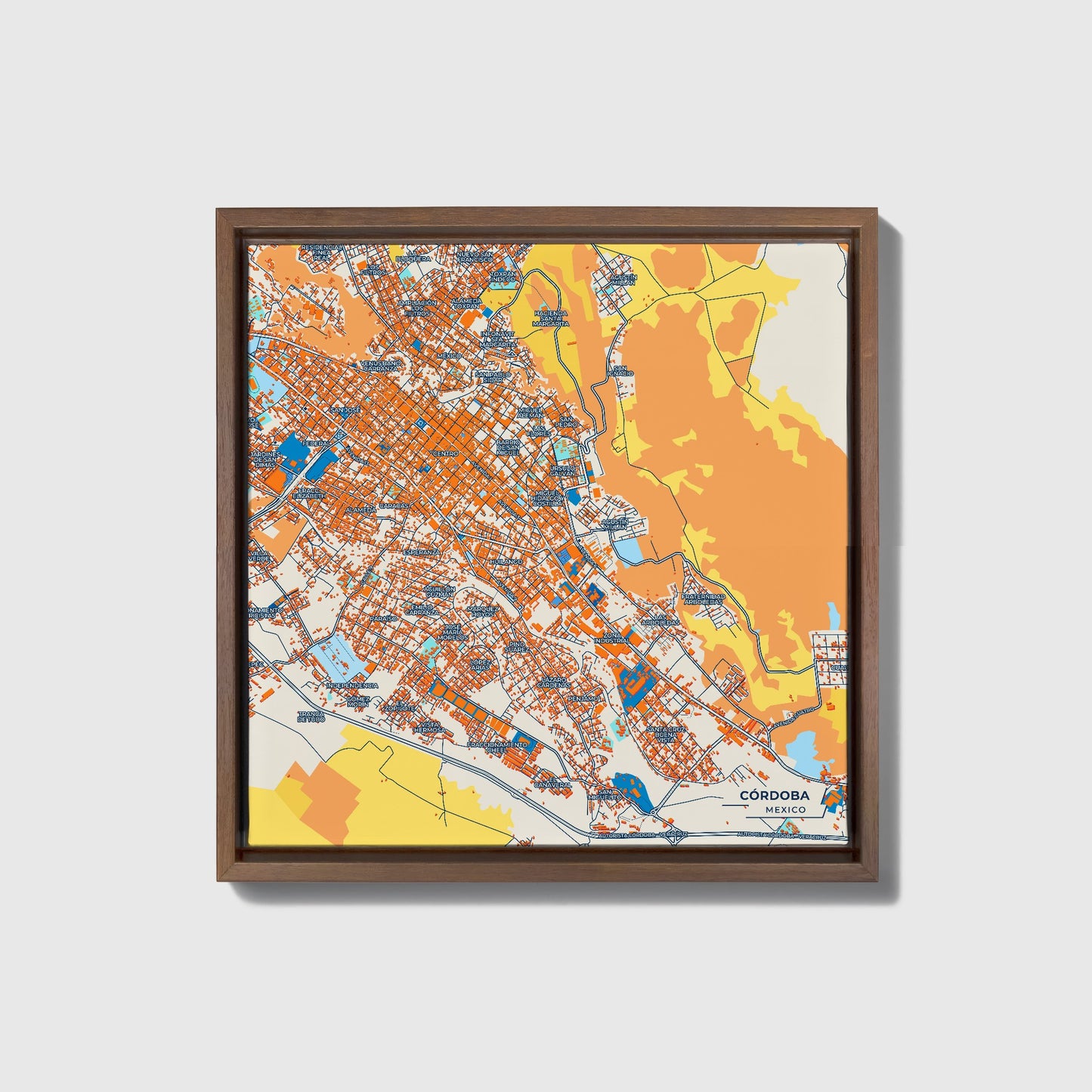 Córdoba Mexico Colorful City Map Canvas Print • Dark Wooden Framed