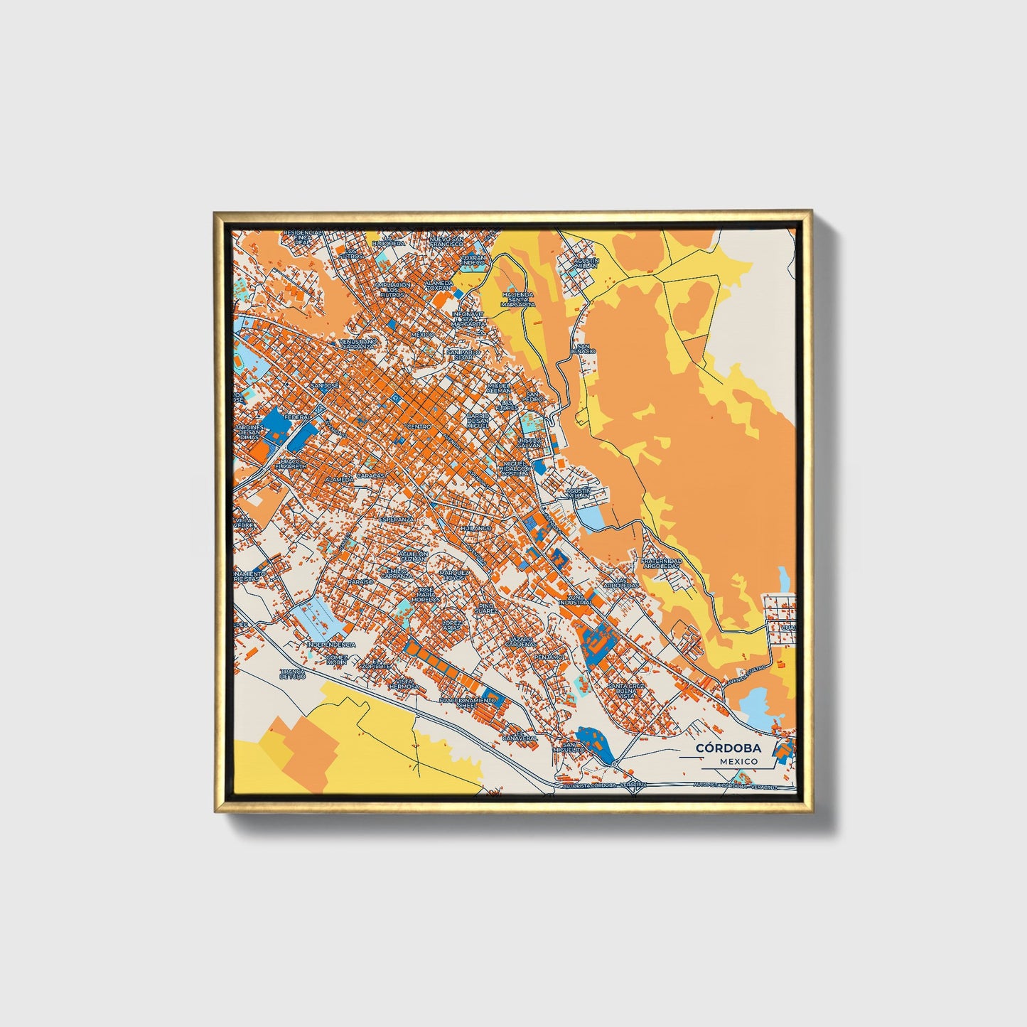 Córdoba Mexico Colorful City Map Canvas Print • Gold Framed
