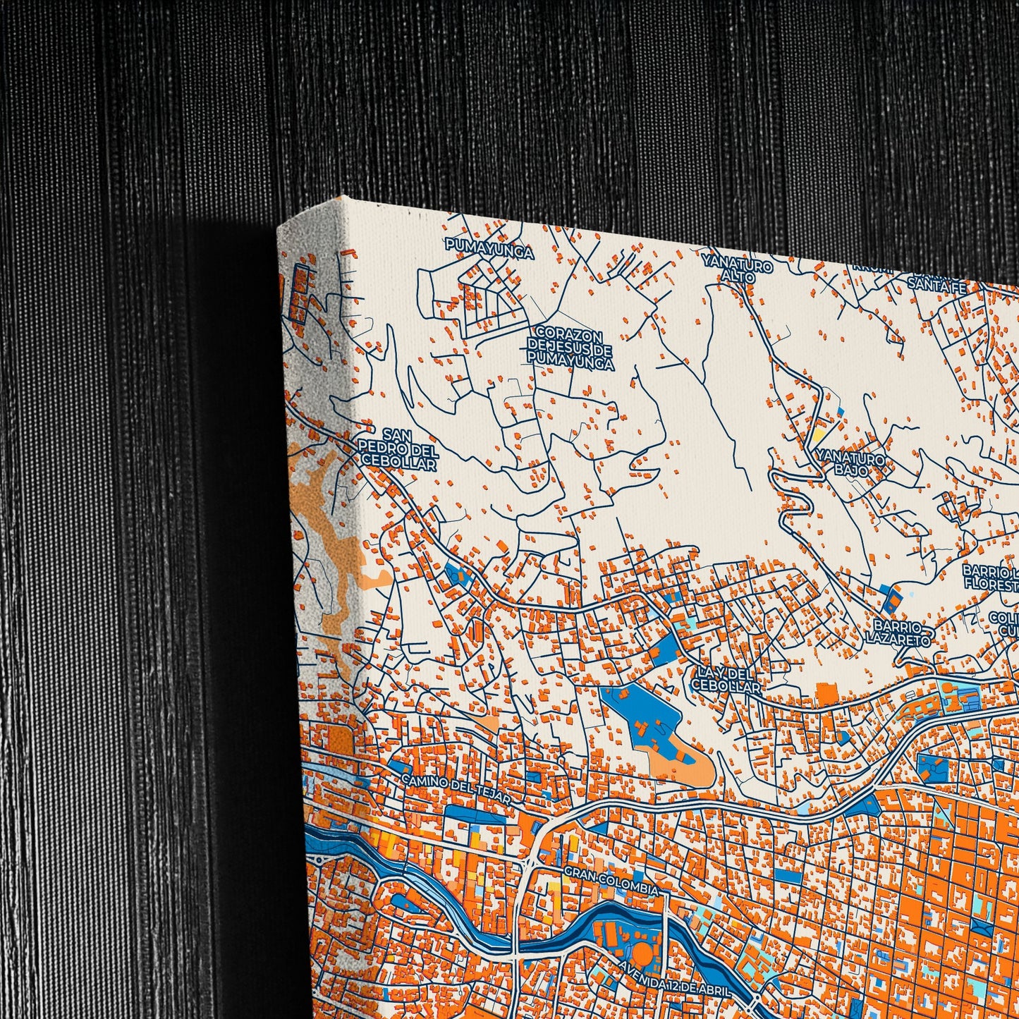 Cuenca Ecuador Colorful City Map Canvas Print Detail