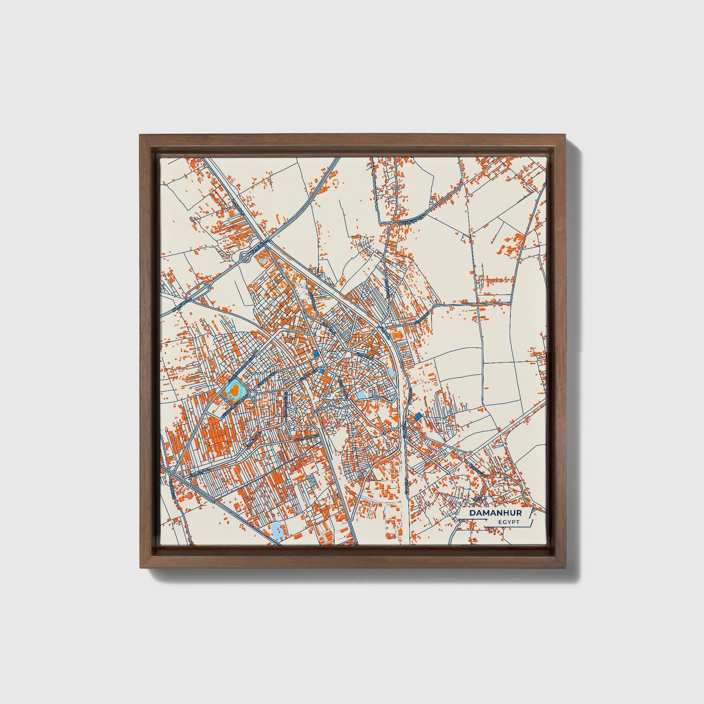 Damanhur Egypt Colorful City Map Canvas Print • Dark Wooden Framed