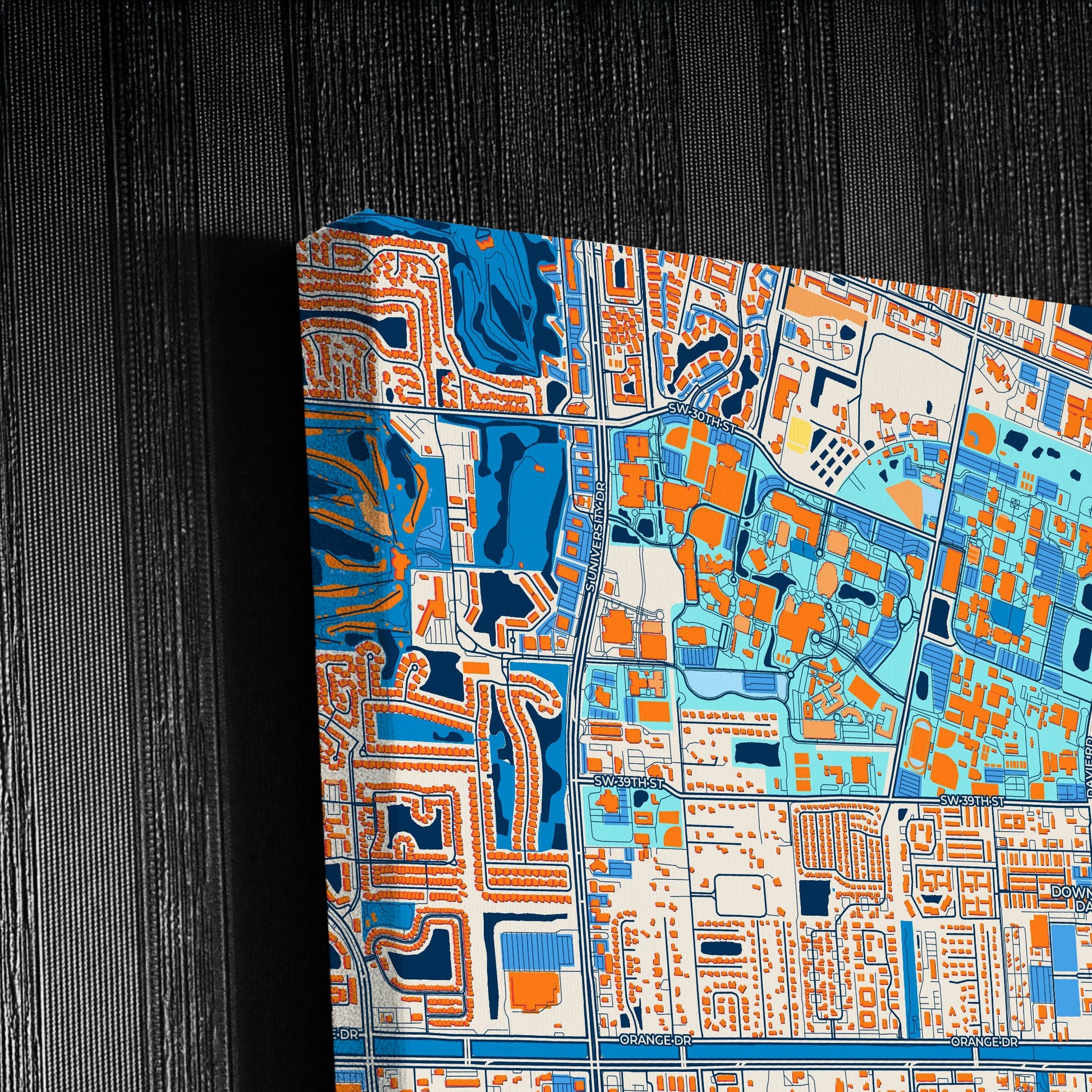 Davie Florida Colorful City Map Canvas Print Detail