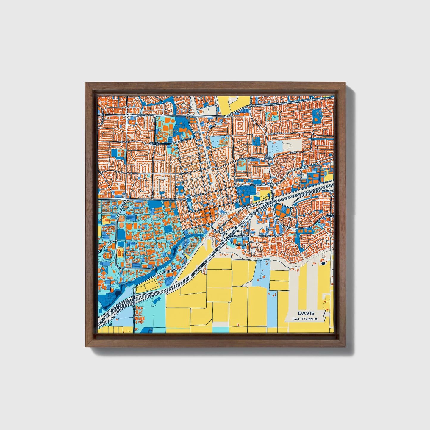 Davis California Colorful City Map Canvas Print • Dark Wooden Framed