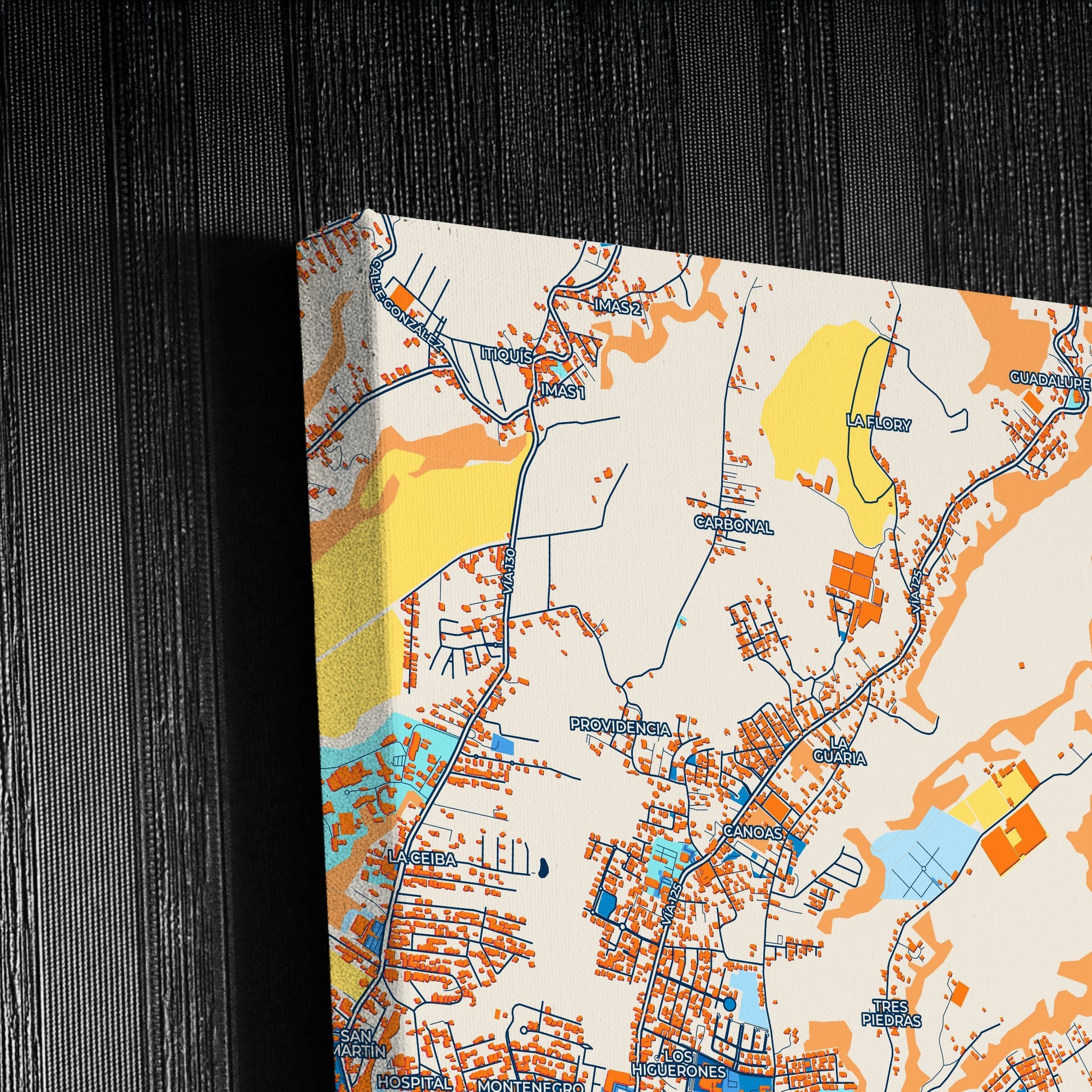 Desamparados Costa Rica Colorful City Map Canvas Print Detail