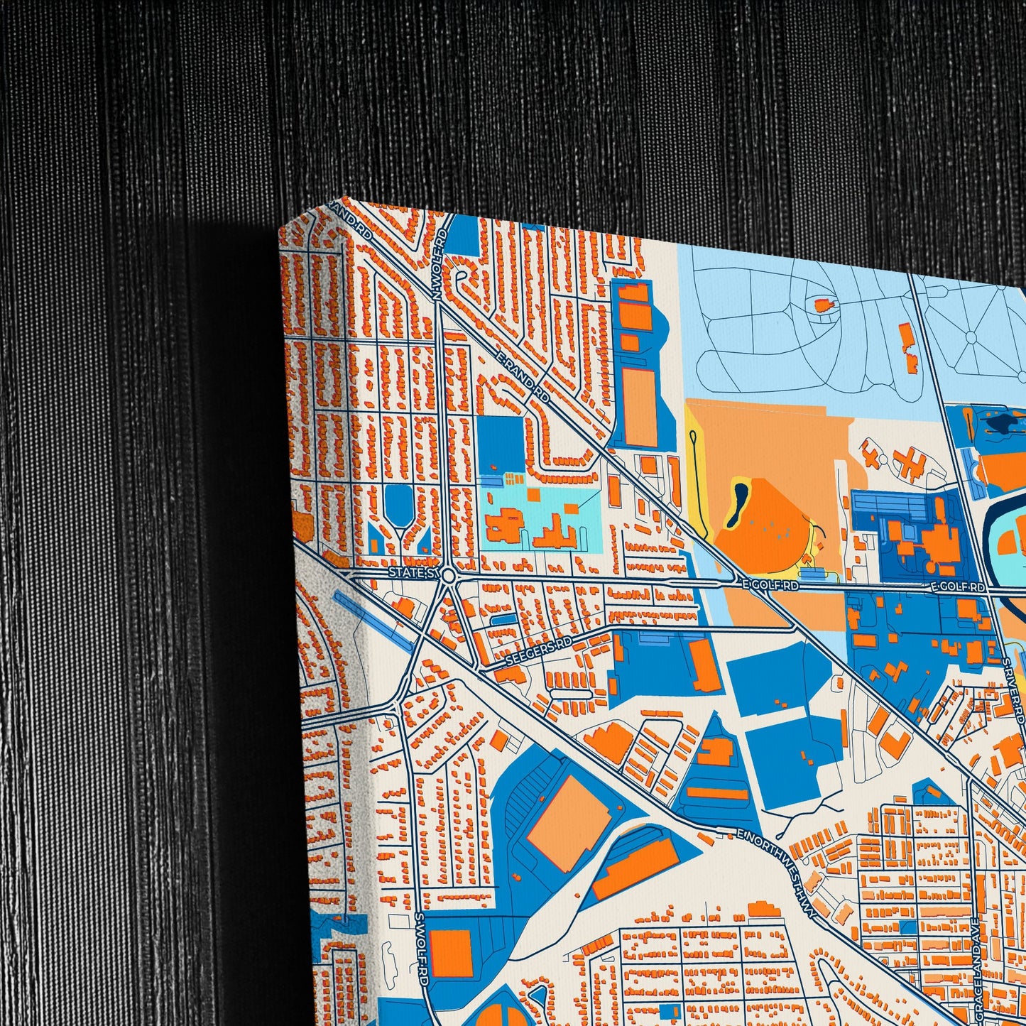 Des Plaines Illinois Colorful City Map Canvas Print Detail