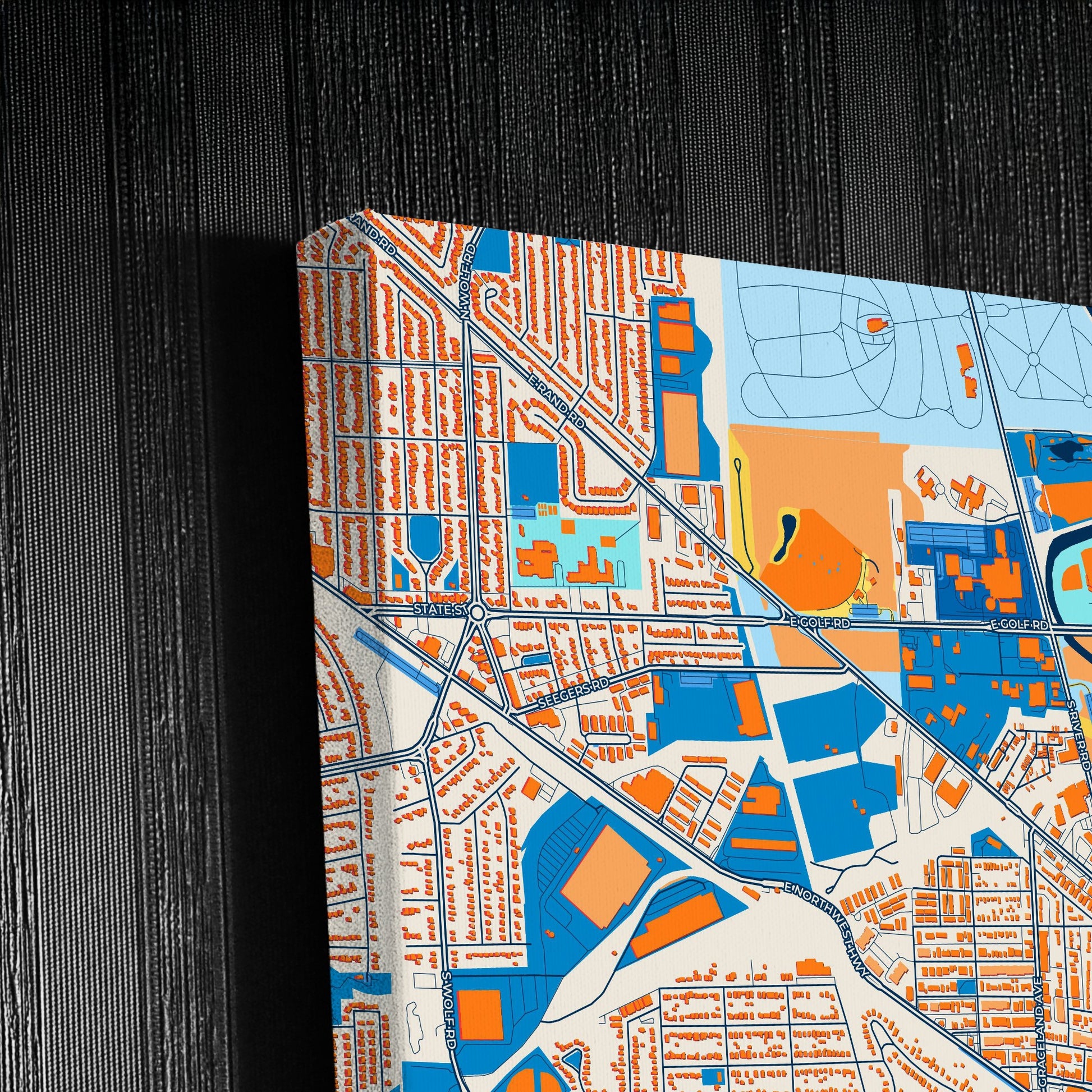 Des Plaines Illinois Colorful City Map Canvas Print Detail