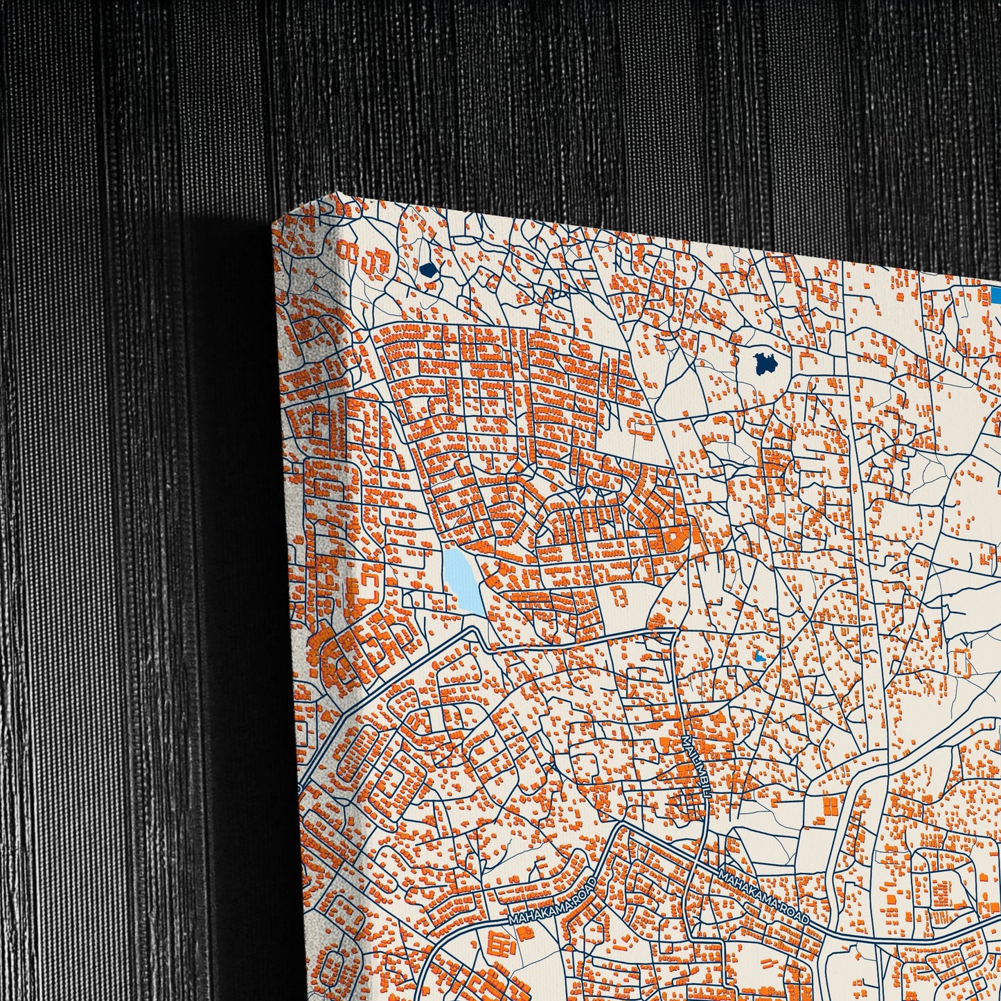 Dodoma Tanzania Colorful City Map Canvas Print Detail