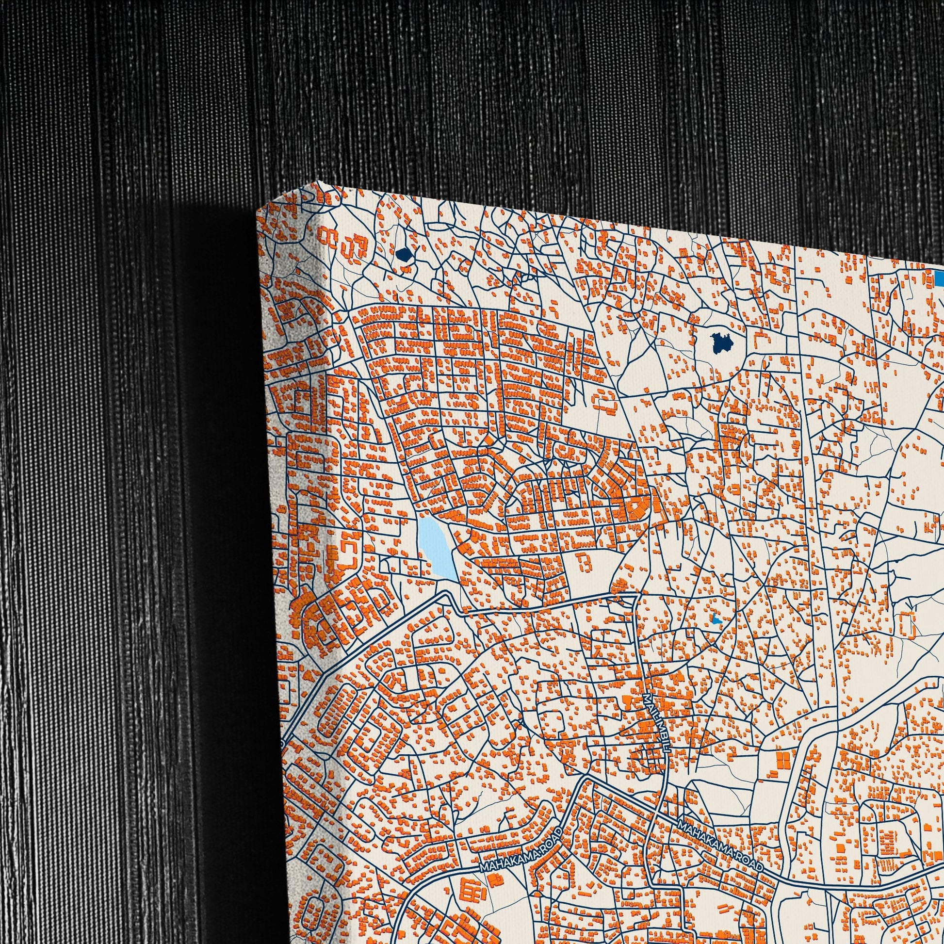 Dodoma Tanzania Colorful City Map Canvas Print Detail