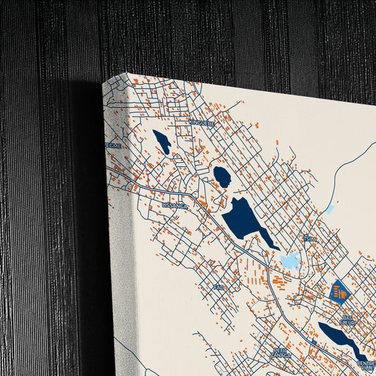 Dolisie Republic Of The Congo Colorful City Map Canvas Print Detail