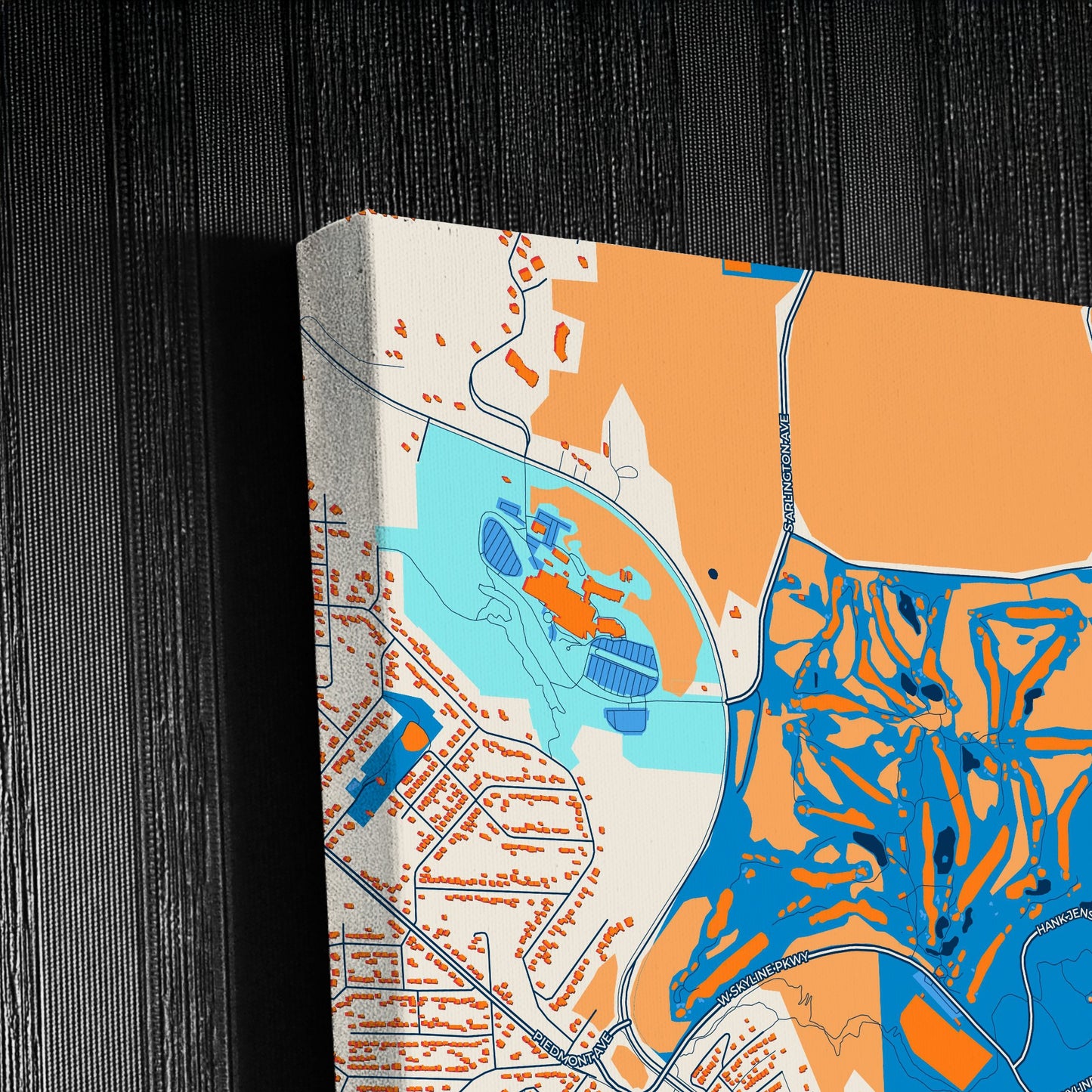 Duluth Minnesota Colorful City Map Canvas Print Detail