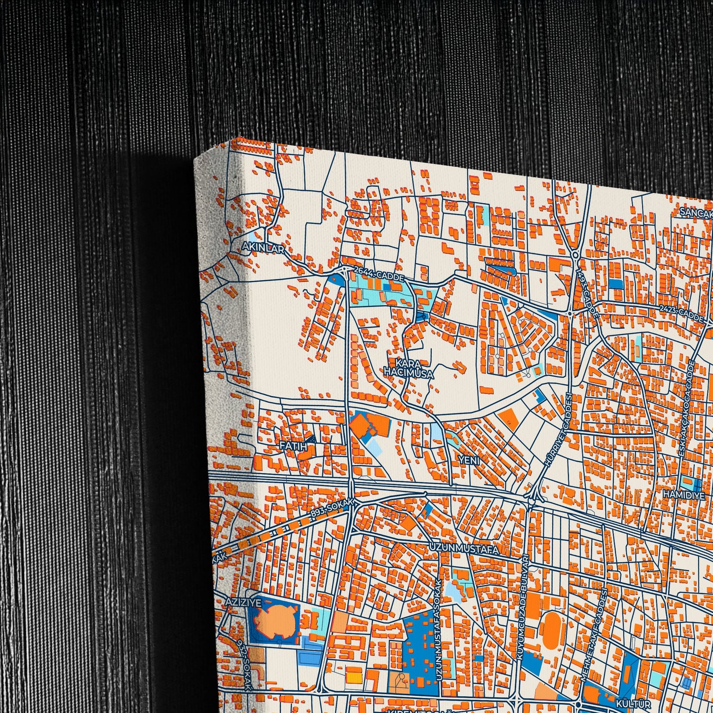 Düzce Turkey Colorful City Map Canvas Print Detail