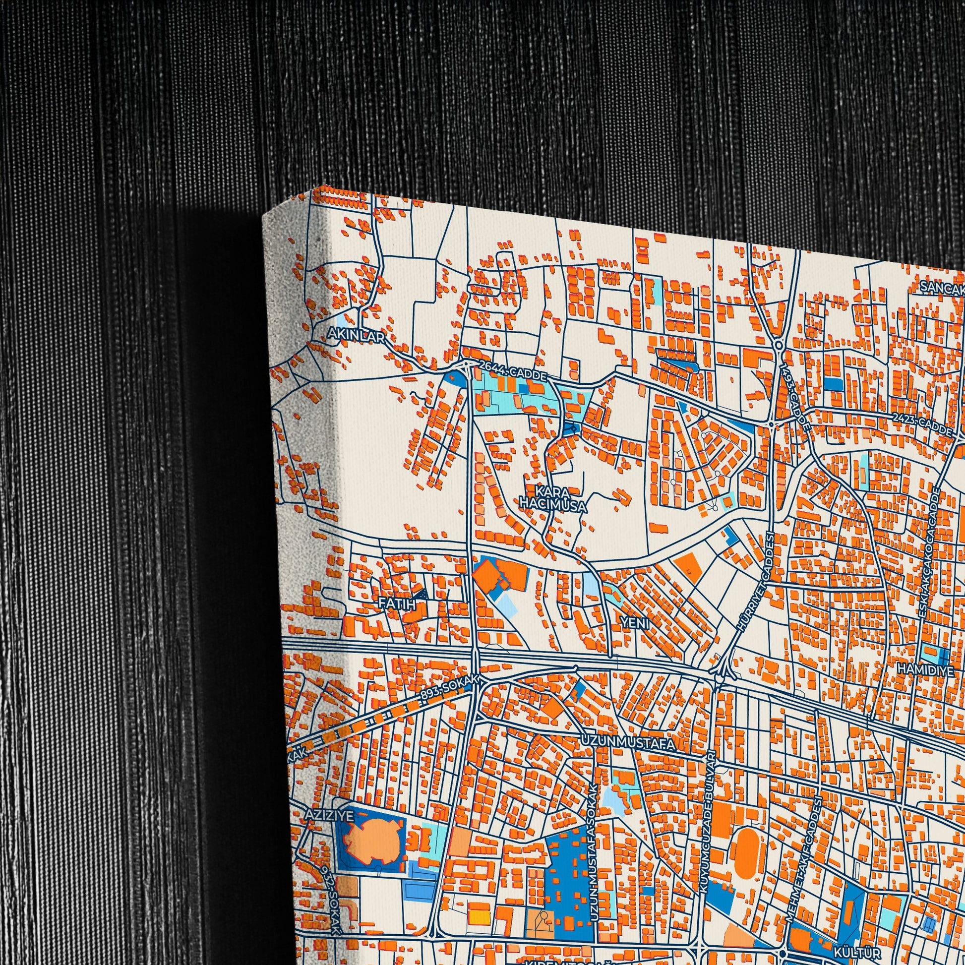 Düzce Turkey Colorful City Map Canvas Print Detail