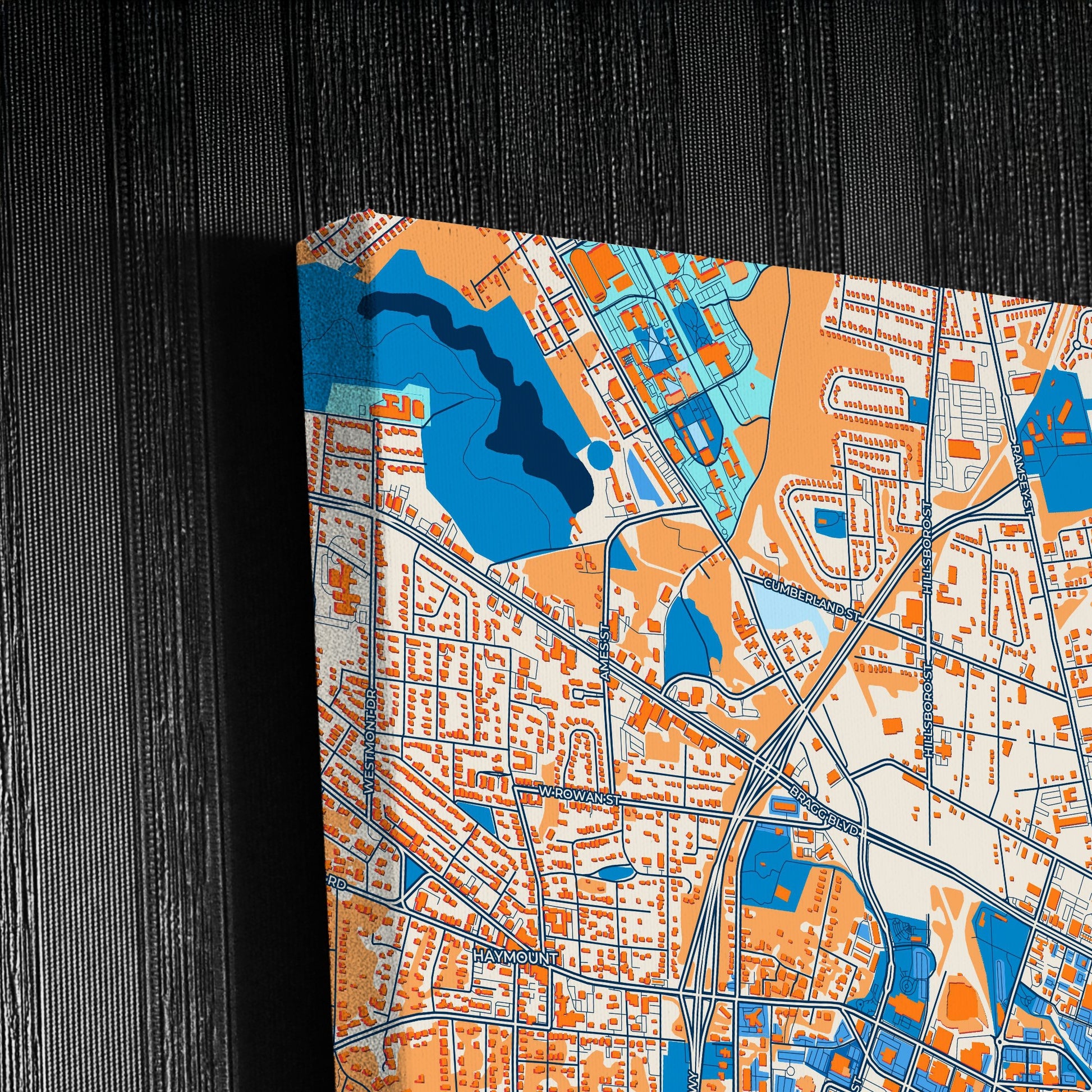 Fayetteville North Carolina Colorful City Map Canvas Print Detail