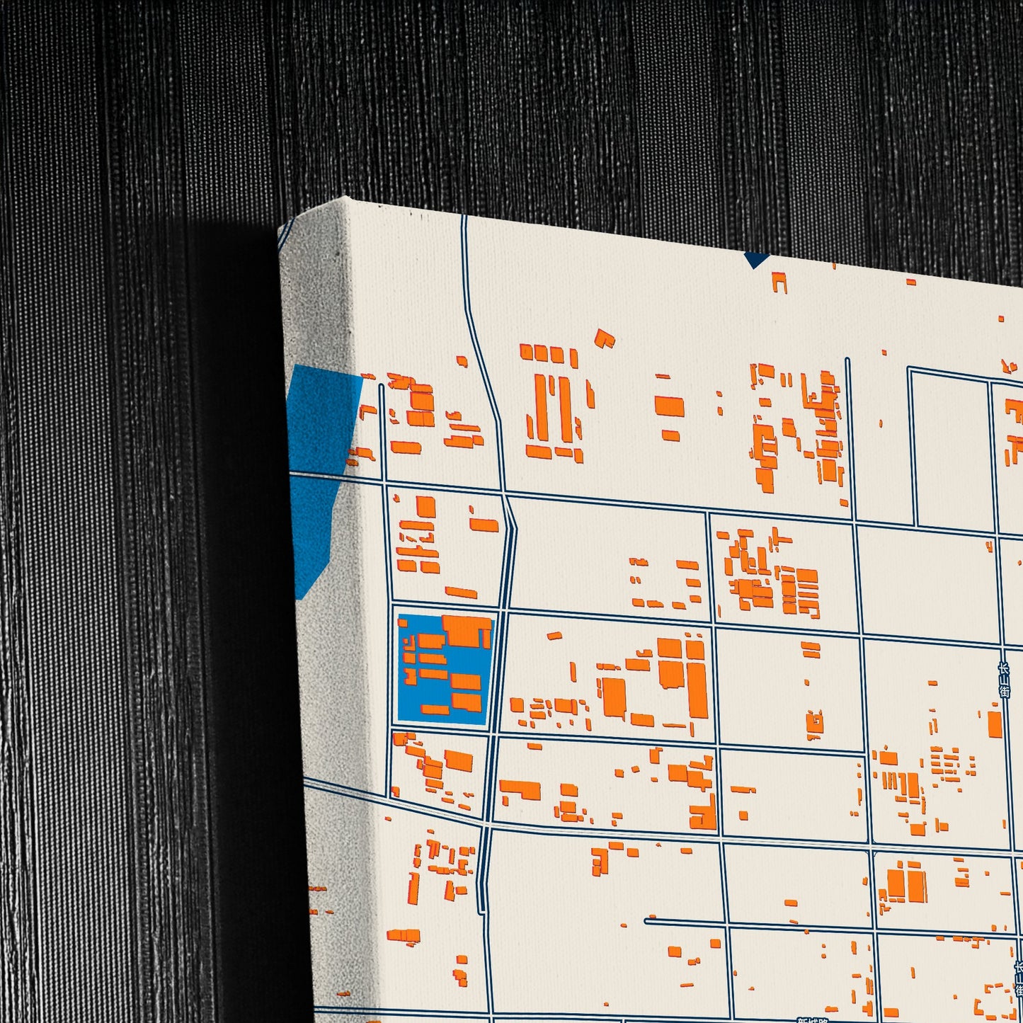 Feicheng China Colorful City Map Canvas Print Detail