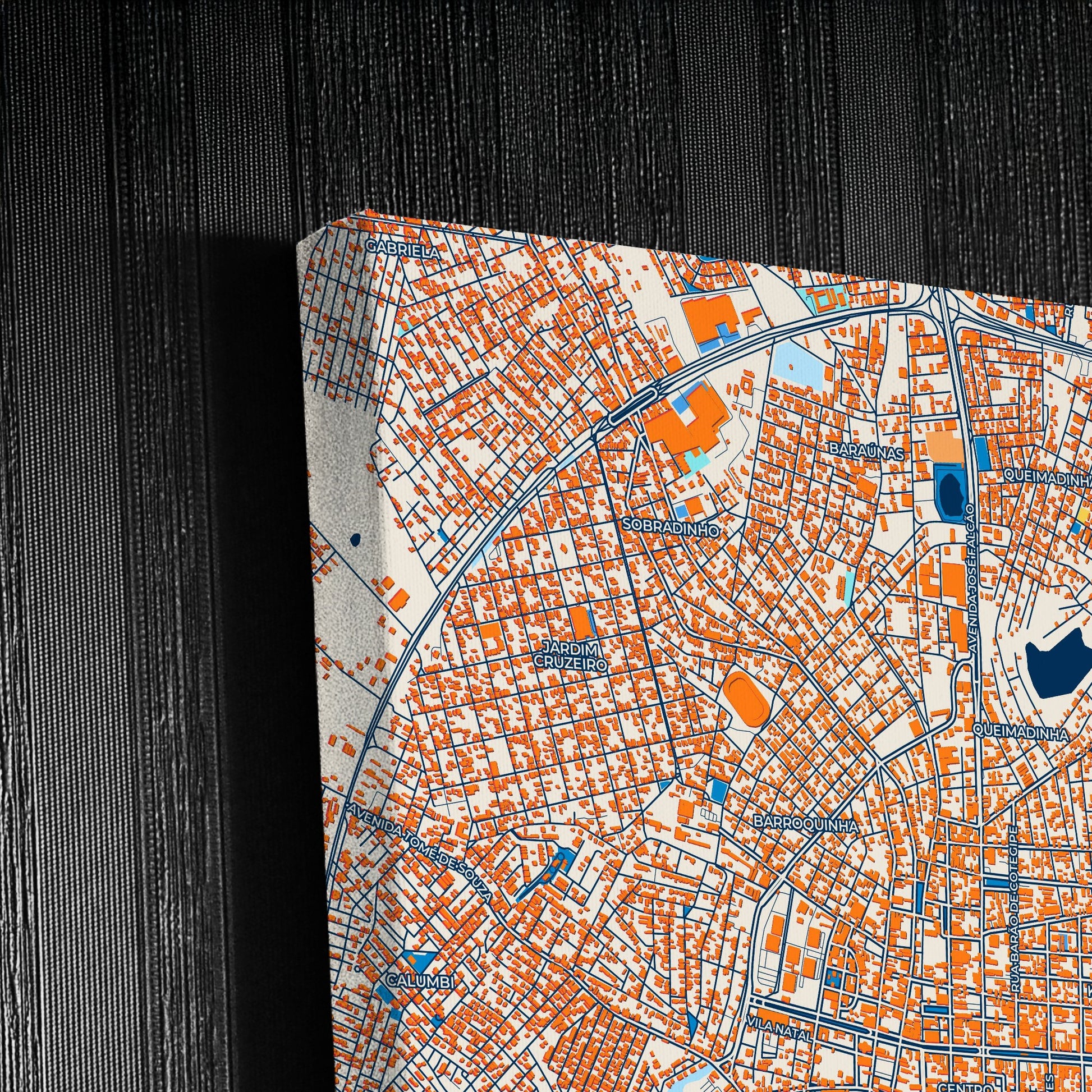 Feira De Santana Brazil Colorful City Map Canvas Print Detail