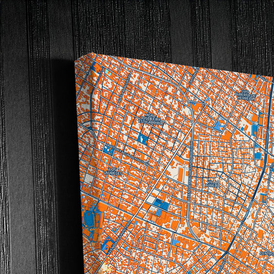 Fernando De La Mora Paraguay Colorful City Map Canvas Print Detail