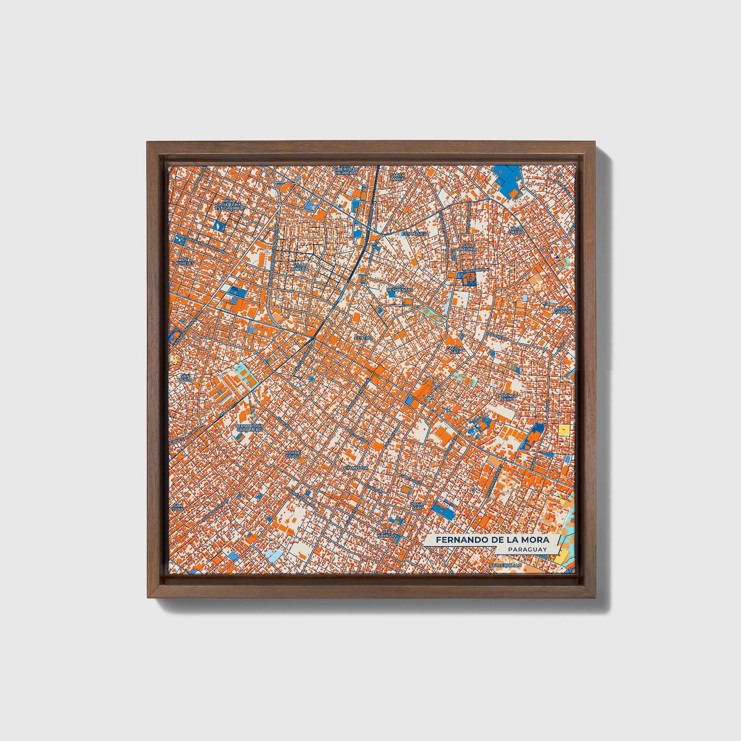Fernando De La Mora Paraguay Colorful City Map Canvas Print • Dark Wooden Framed