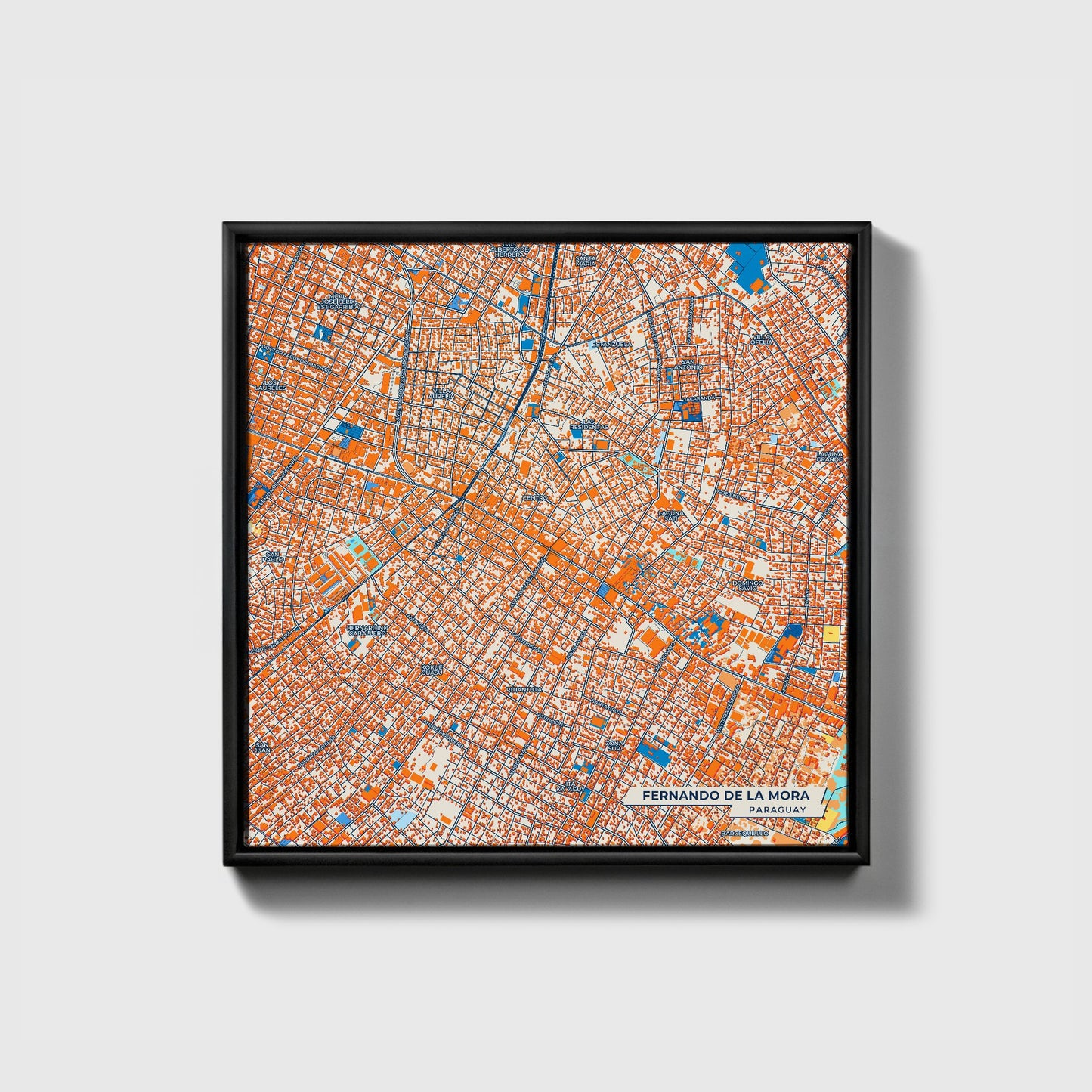 Fernando De La Mora Paraguay Colorful City Map Canvas Print • Black Framed