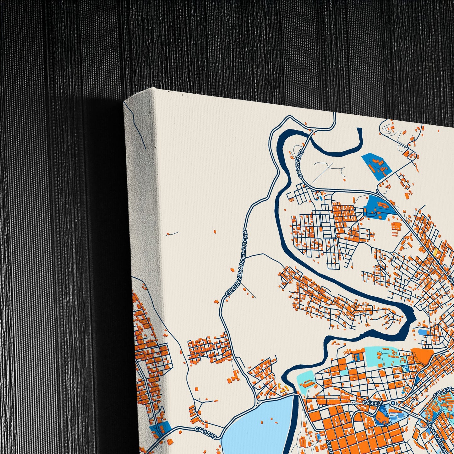 Florencia Colombia Colorful City Map Canvas Print Detail