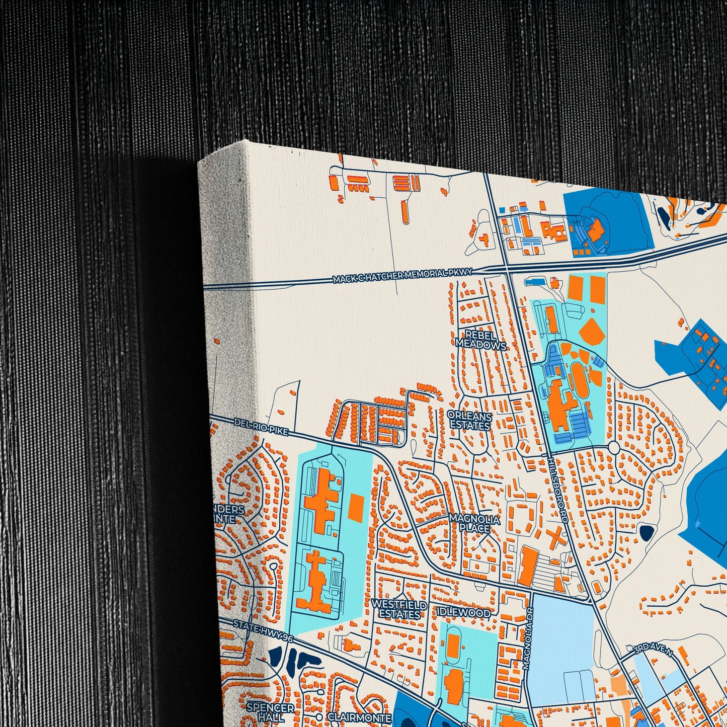 Franklin Tennessee Colorful City Map Canvas Print Detail