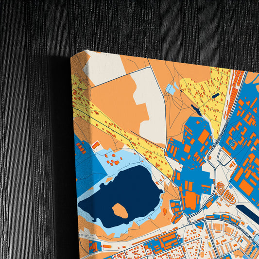 Фрязино Russia Colorful City Map Canvas Print Detail