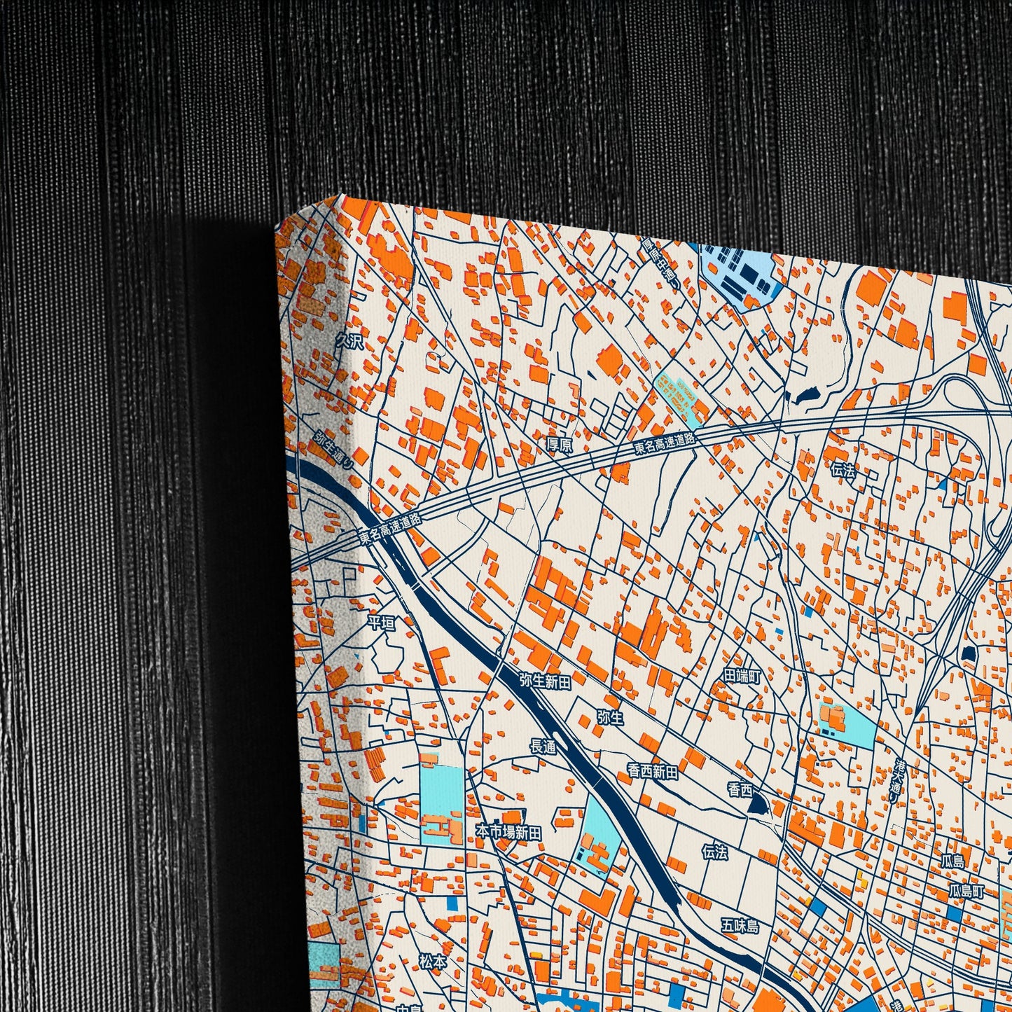 Fuji Japan Colorful City Map Canvas Print Detail
