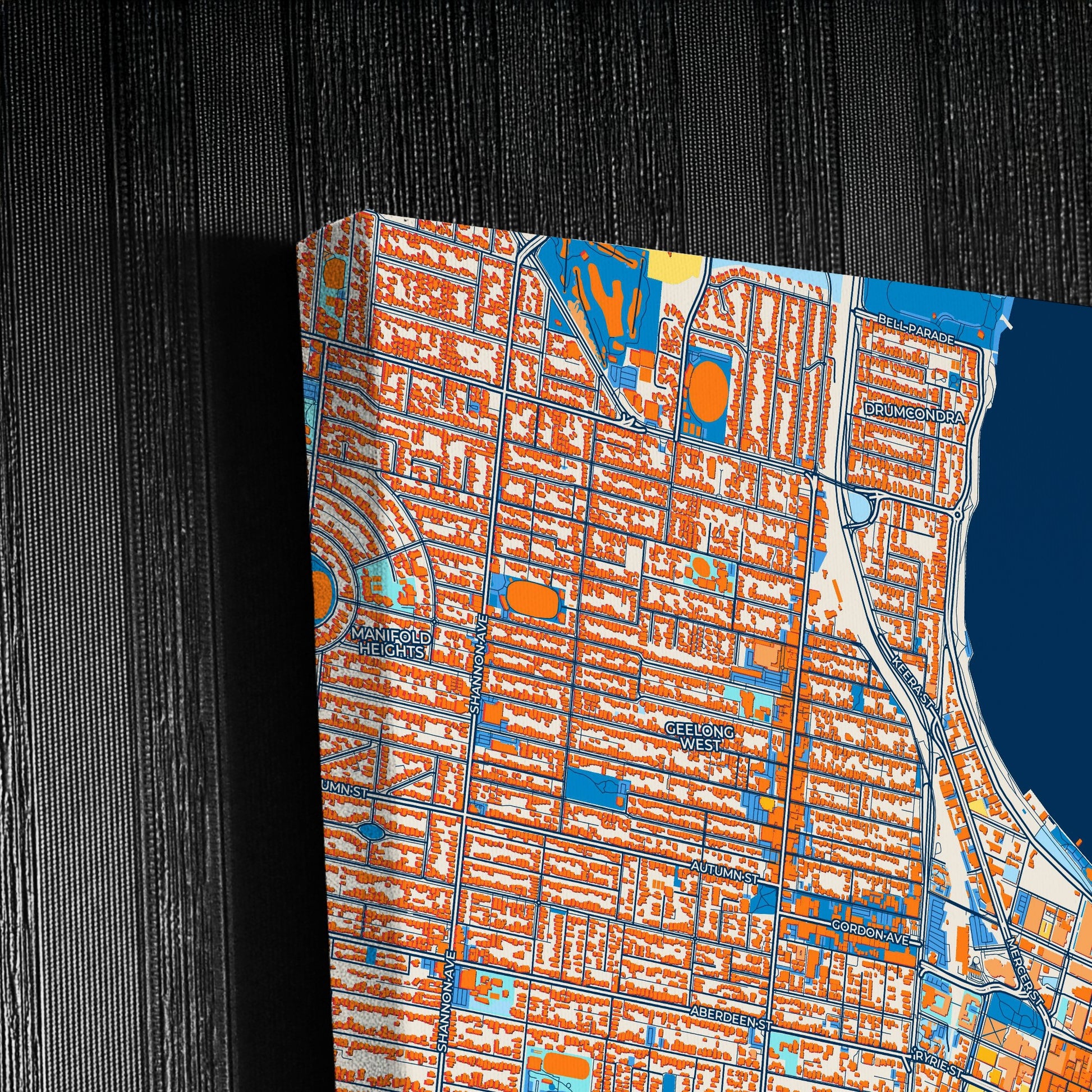 Geelong Australia Colorful City Map Canvas Print Detail