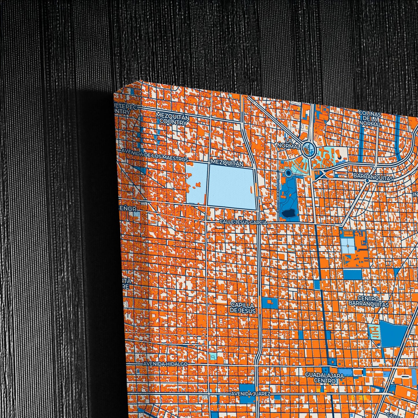 Guadalajara Mexico Colorful City Map Canvas Print Detail